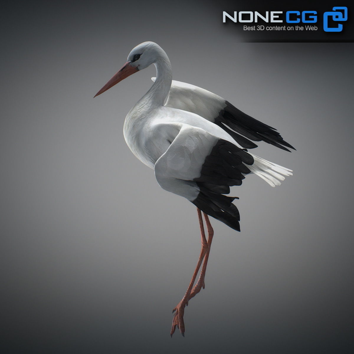 Animated Stork 3D model_8