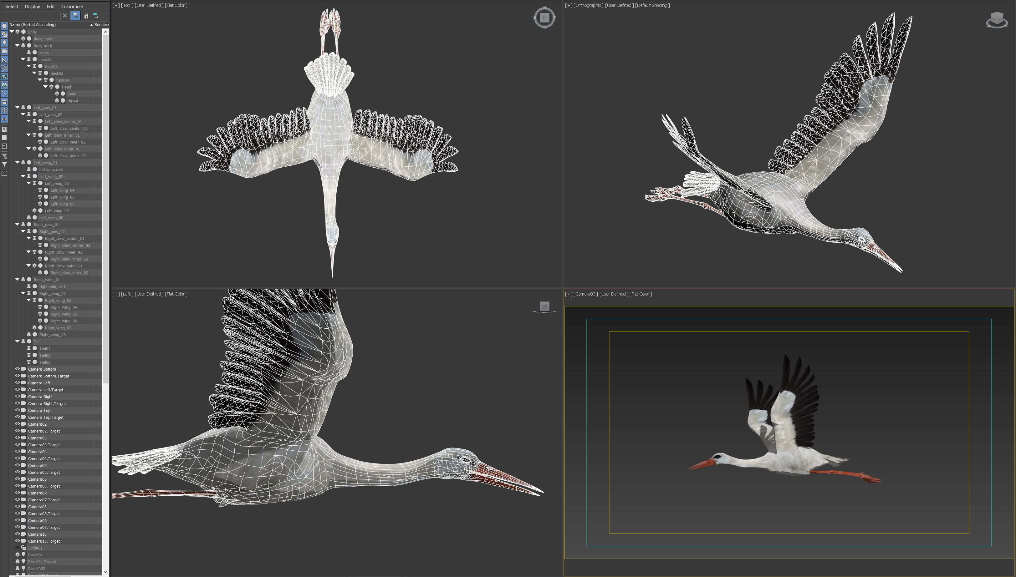 Animated Stork 3D model_18