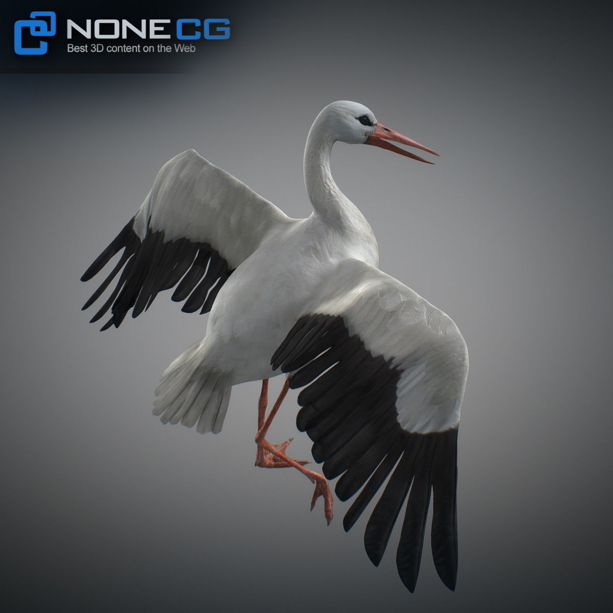 Animated Stork 3D model_5