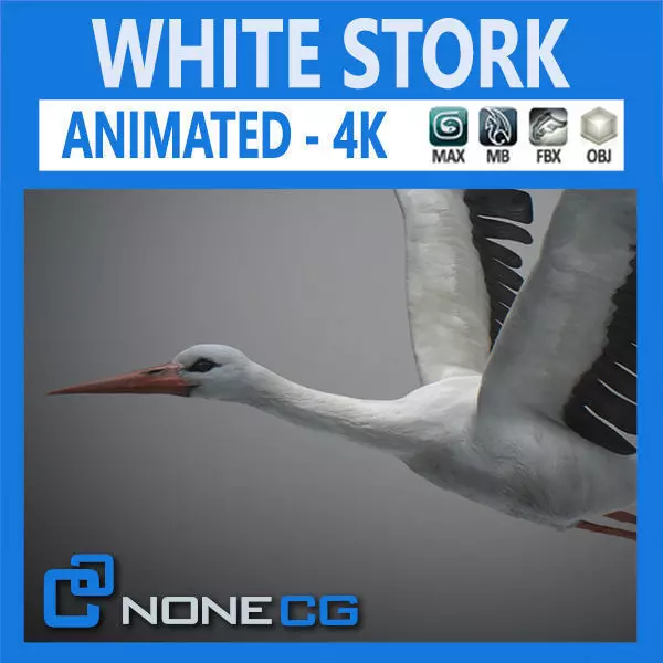 Animated Stork 3D model_0