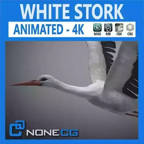 Animated Stork 3D model