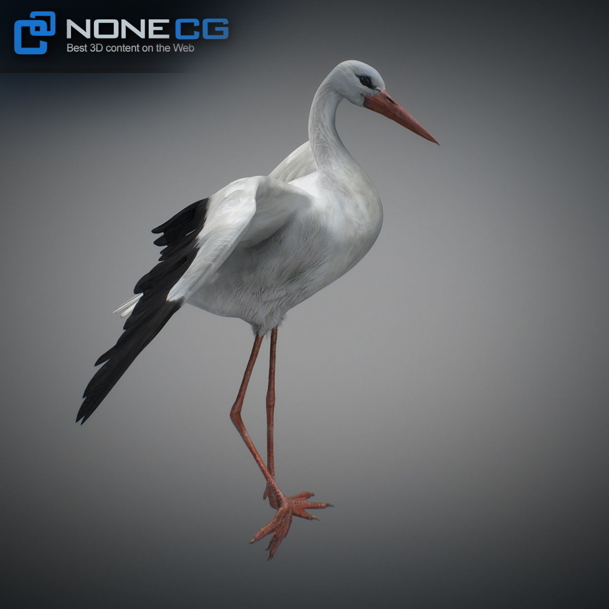 Animated Stork 3D model_7