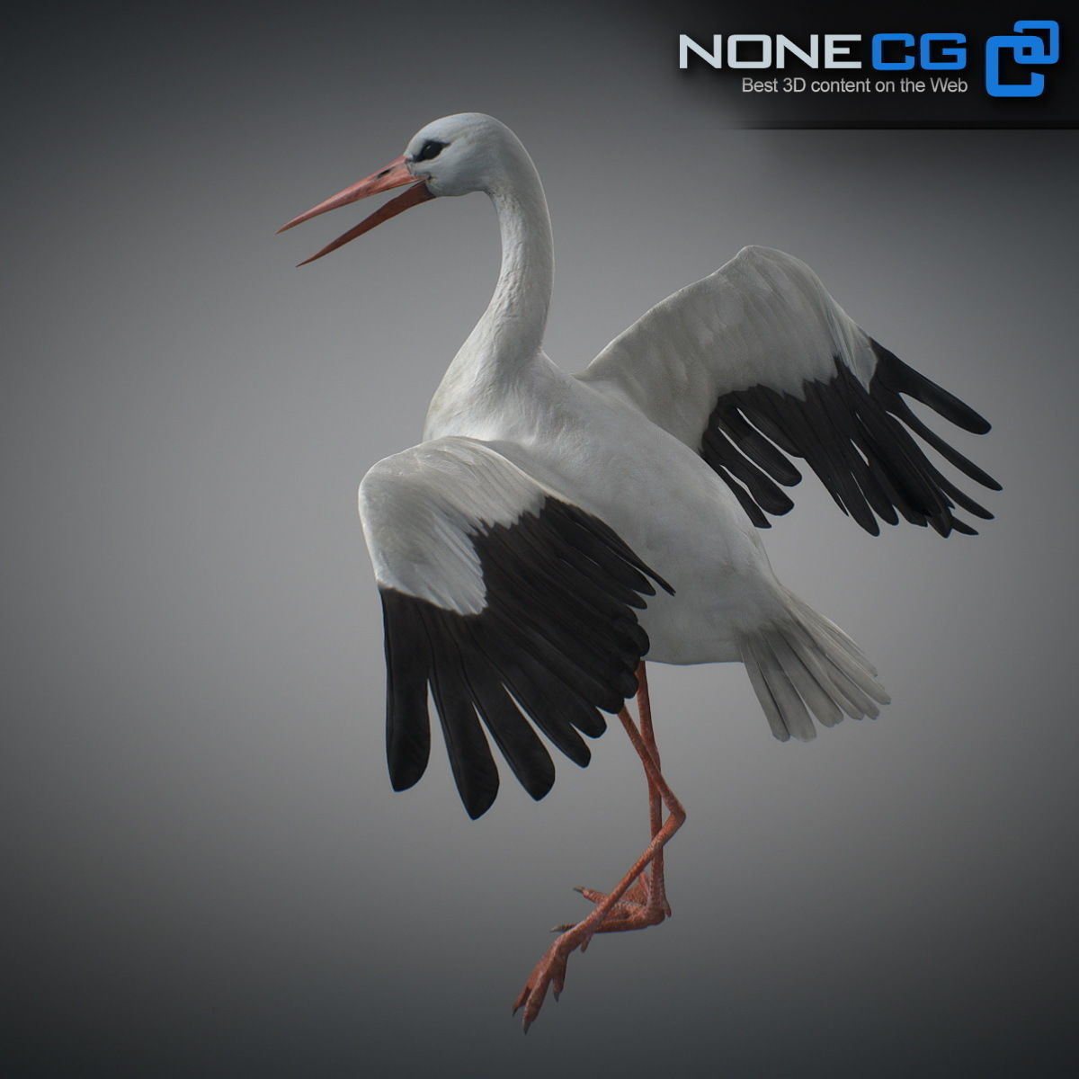 Animated Stork 3D model_4