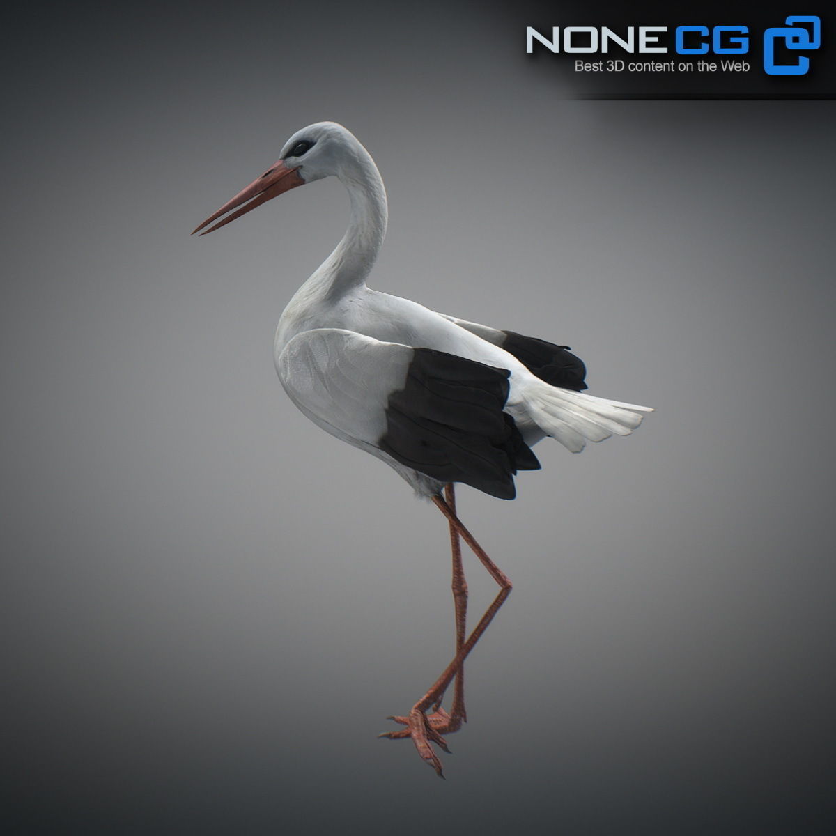 Animated Stork 3D model_15
