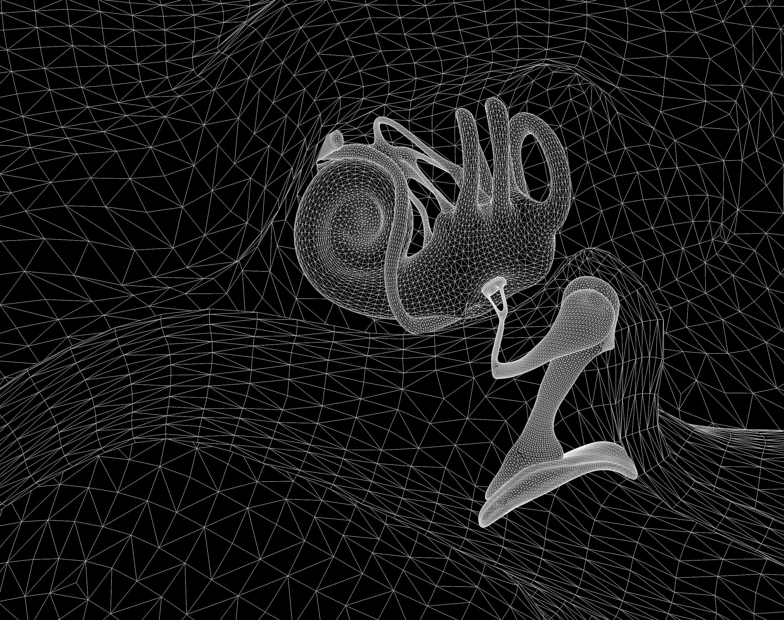 Ear Structure Anatomy Section 3D model_14