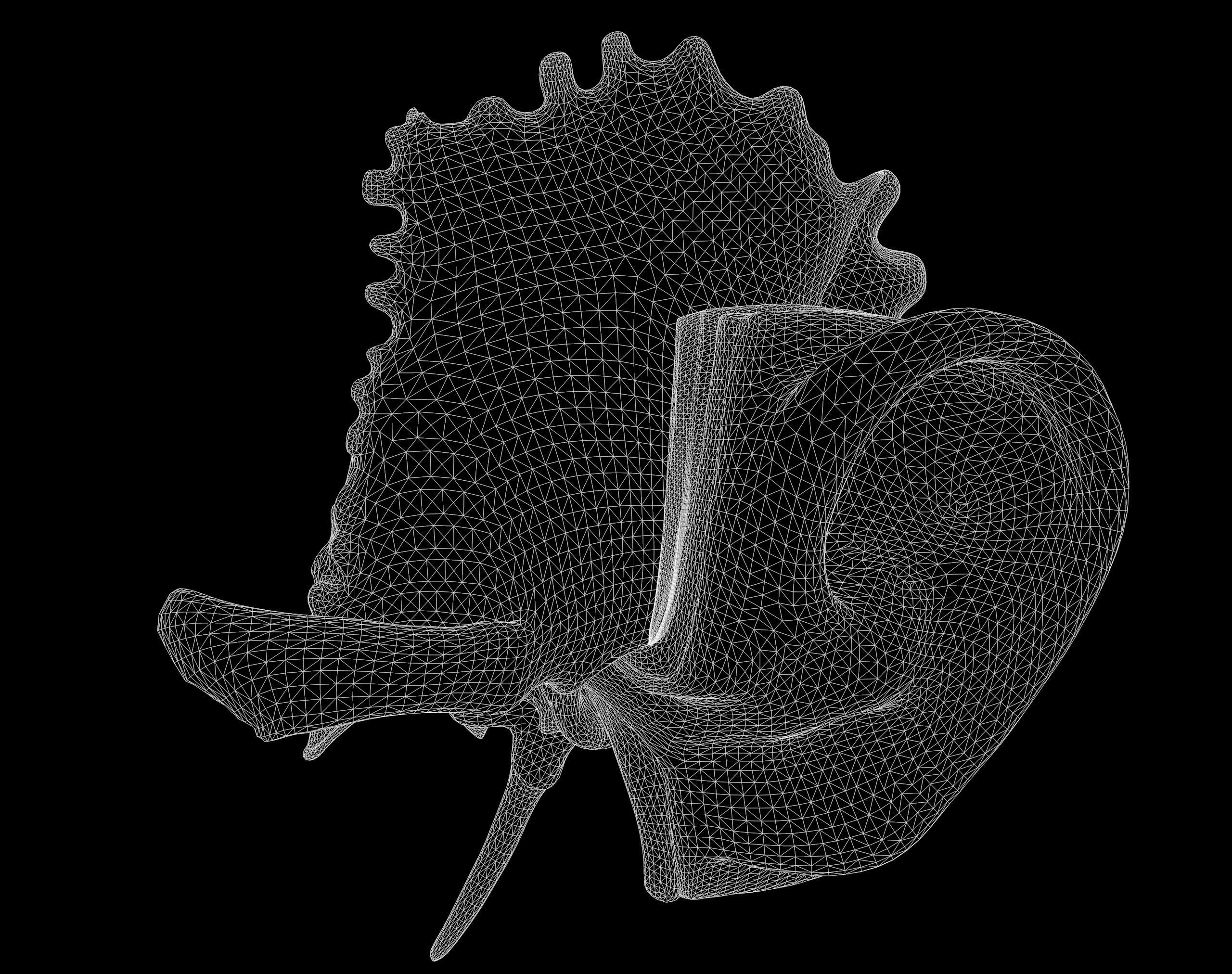 Ear Structure Anatomy Section 3D model_11