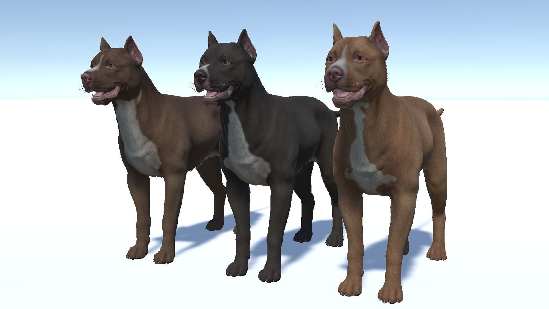 Dog - Pitbull Low-poly 3D model_7