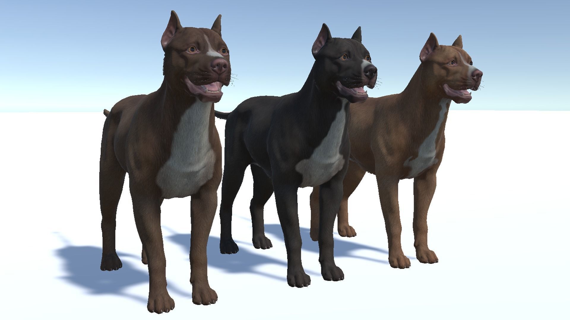 Dog - Pitbull Low-poly 3D model_9