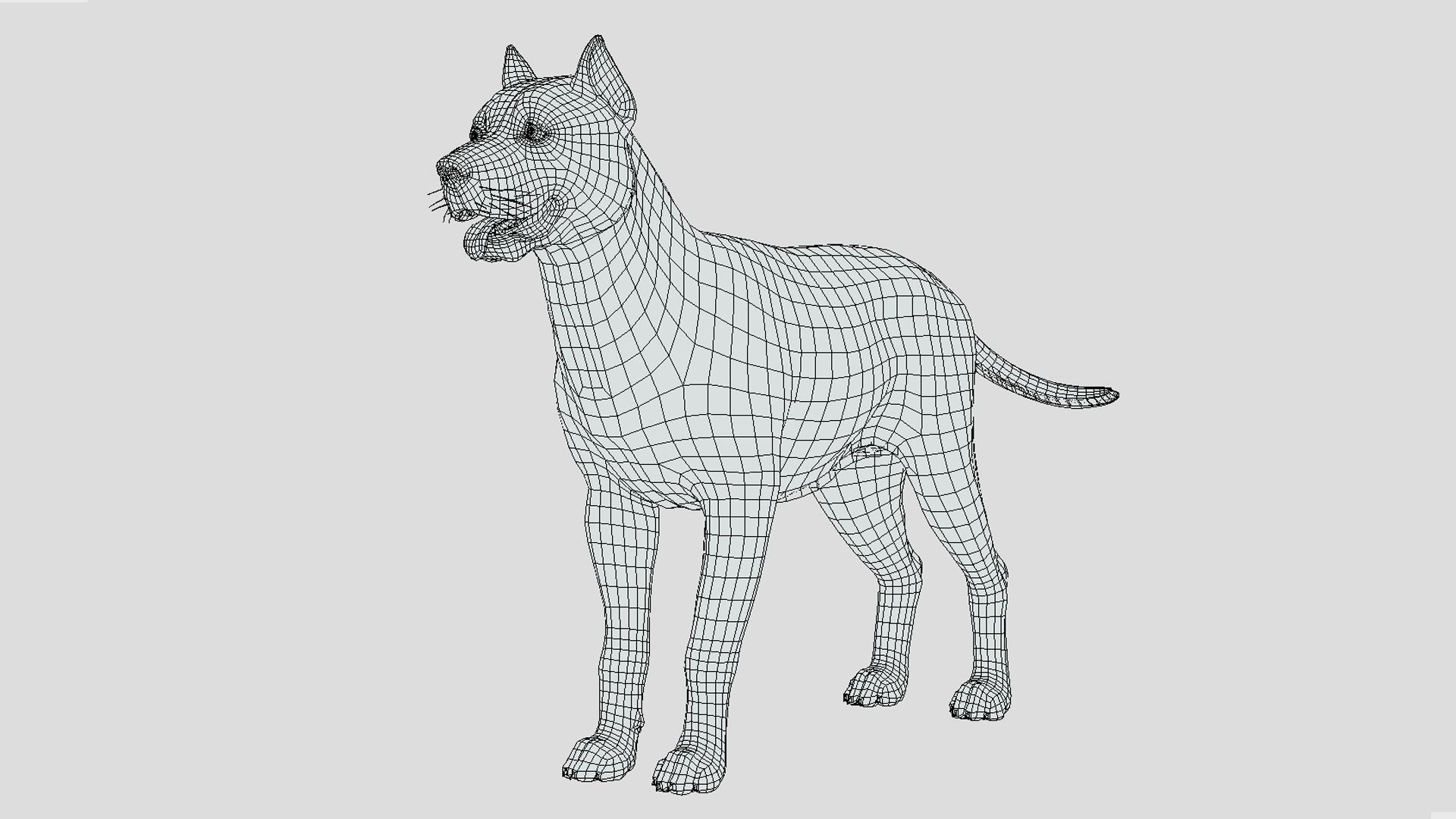 Dog - Pitbull Low-poly 3D model_15