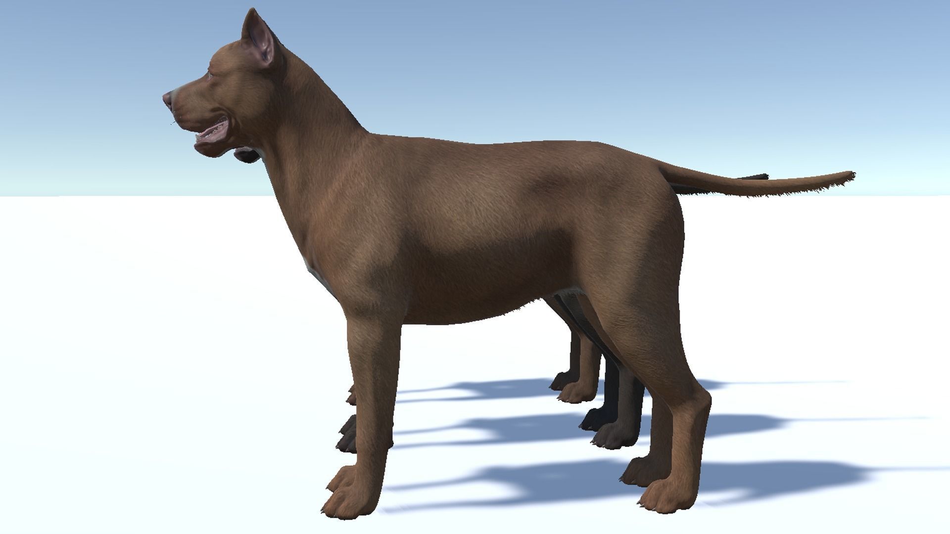 Dog - Pitbull Low-poly 3D model_11