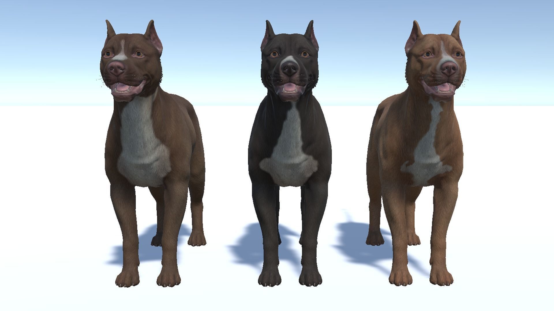 Dog - Pitbull Low-poly 3D model_8