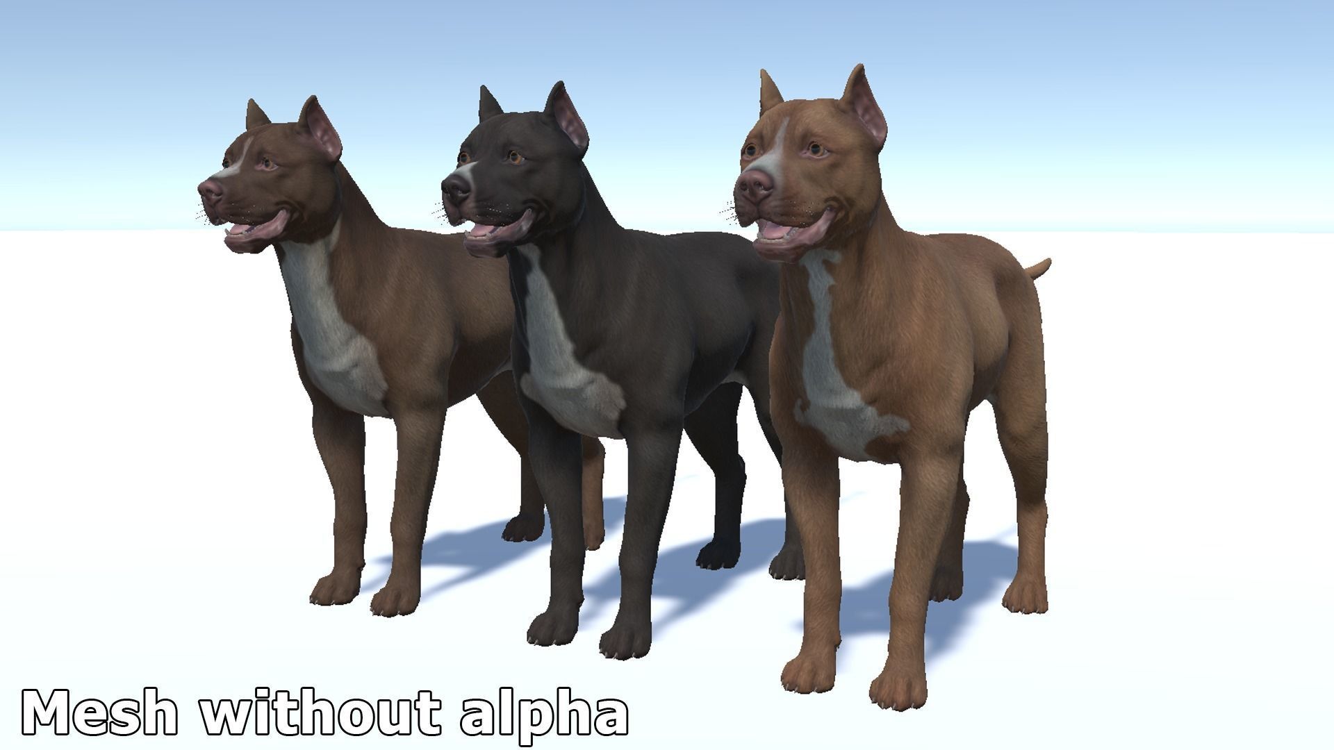Dog - Pitbull Low-poly 3D model_13