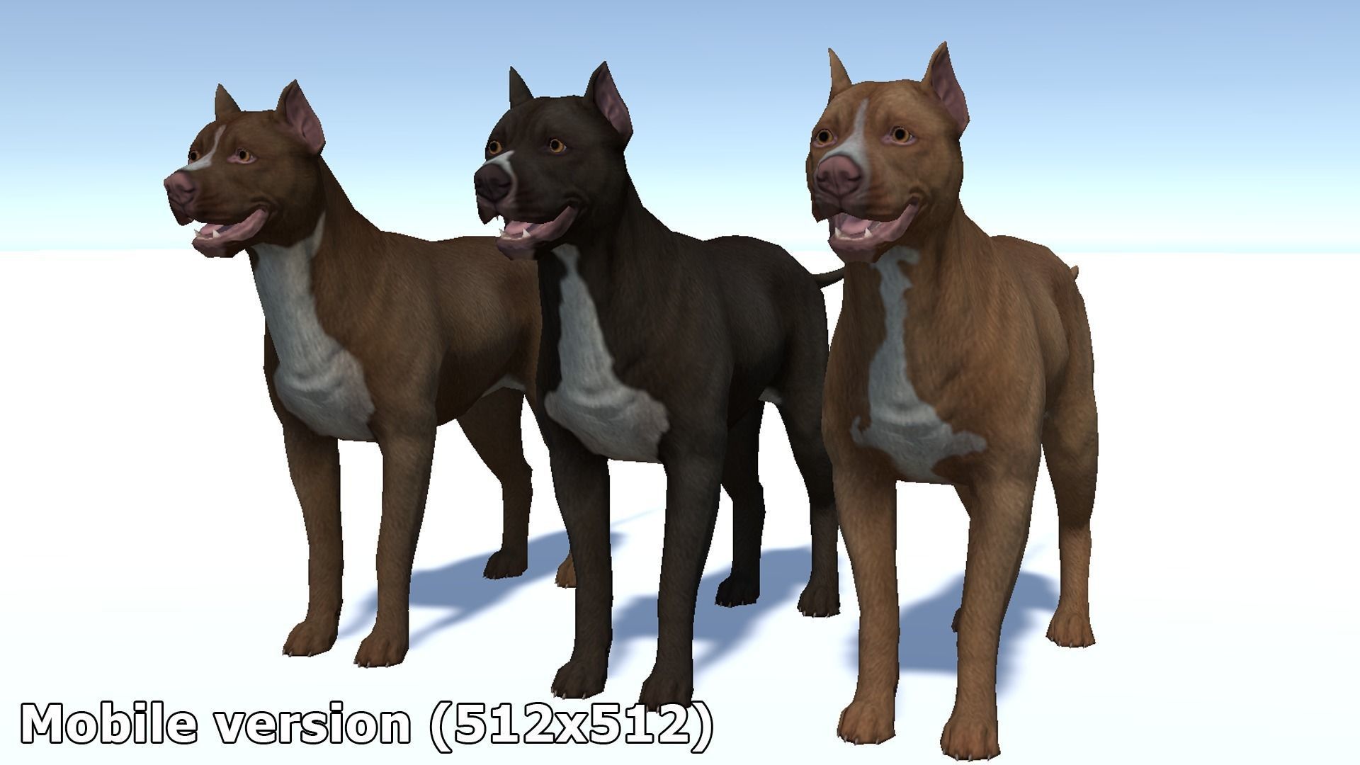 Dog - Pitbull Low-poly 3D model_14