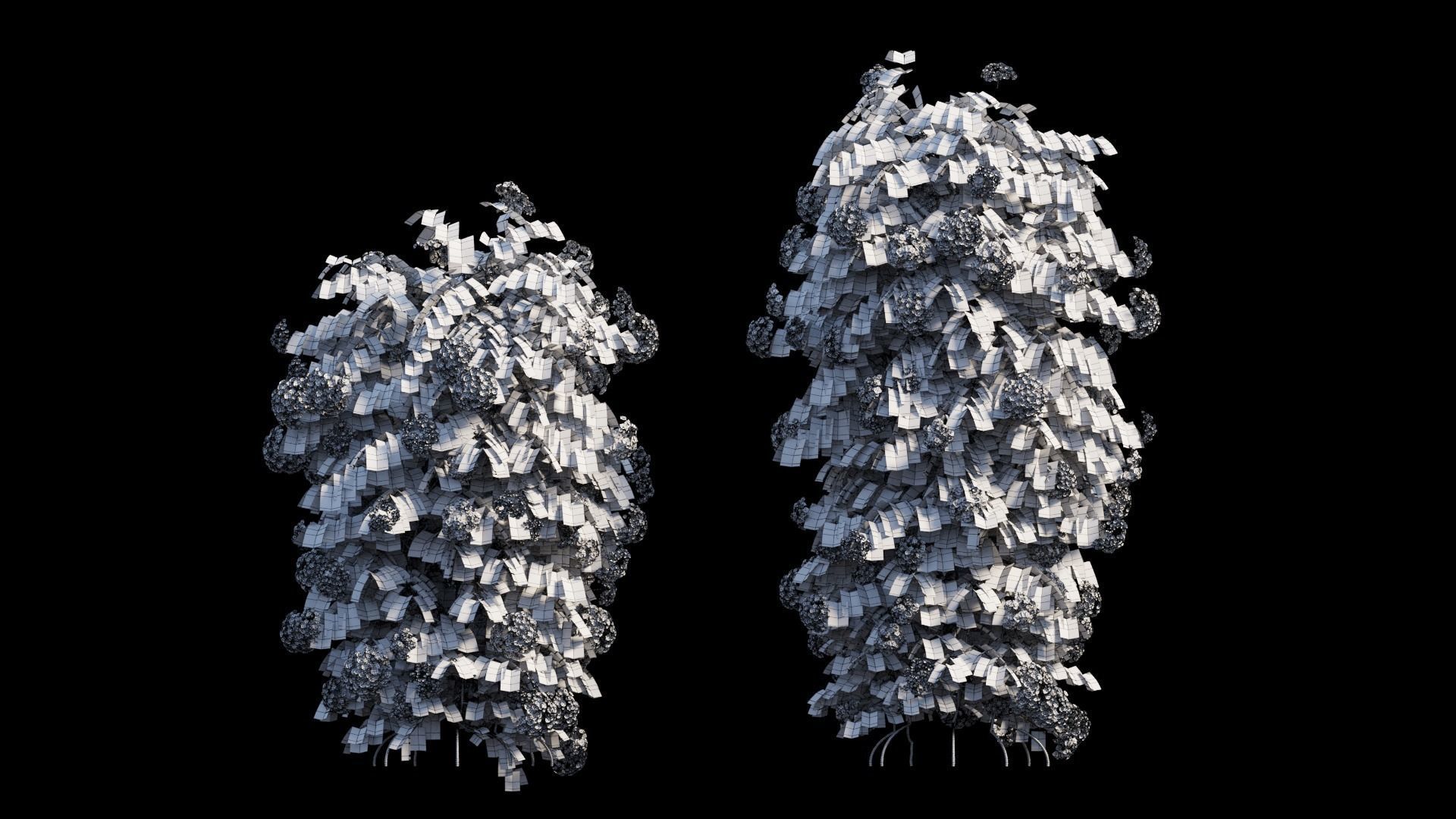 Climbing Hydrangea set 02 3D model_12