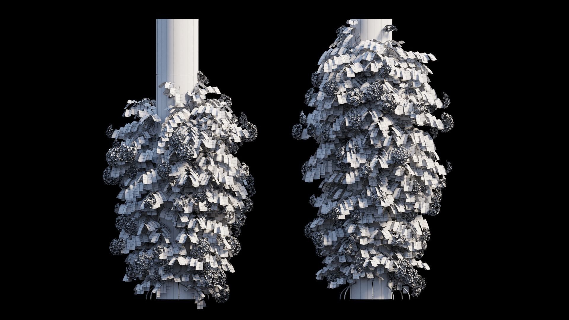 Climbing Hydrangea set 02 3D model_11