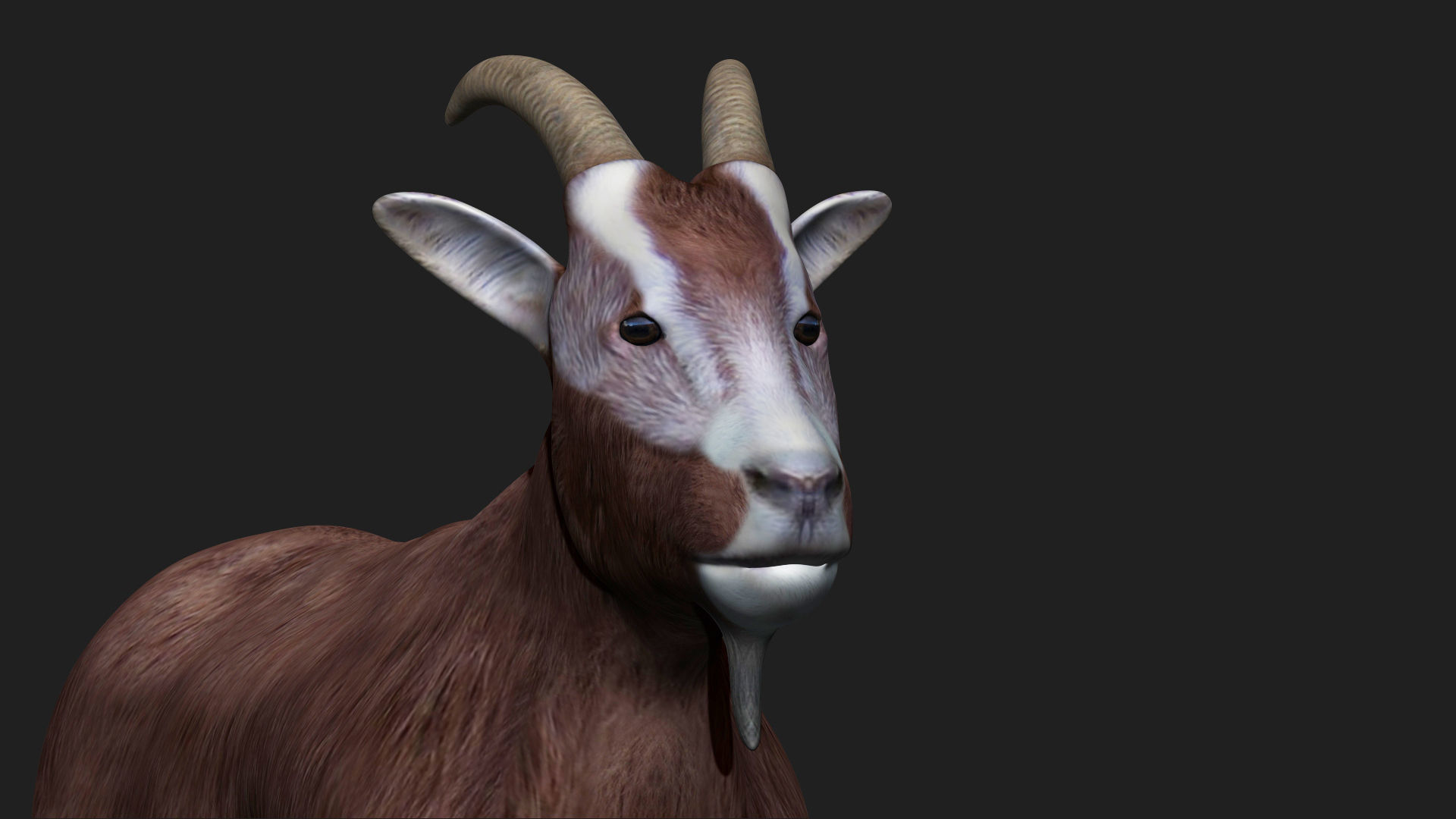Goat fully rigged low polygon Low-poly 3D model_2