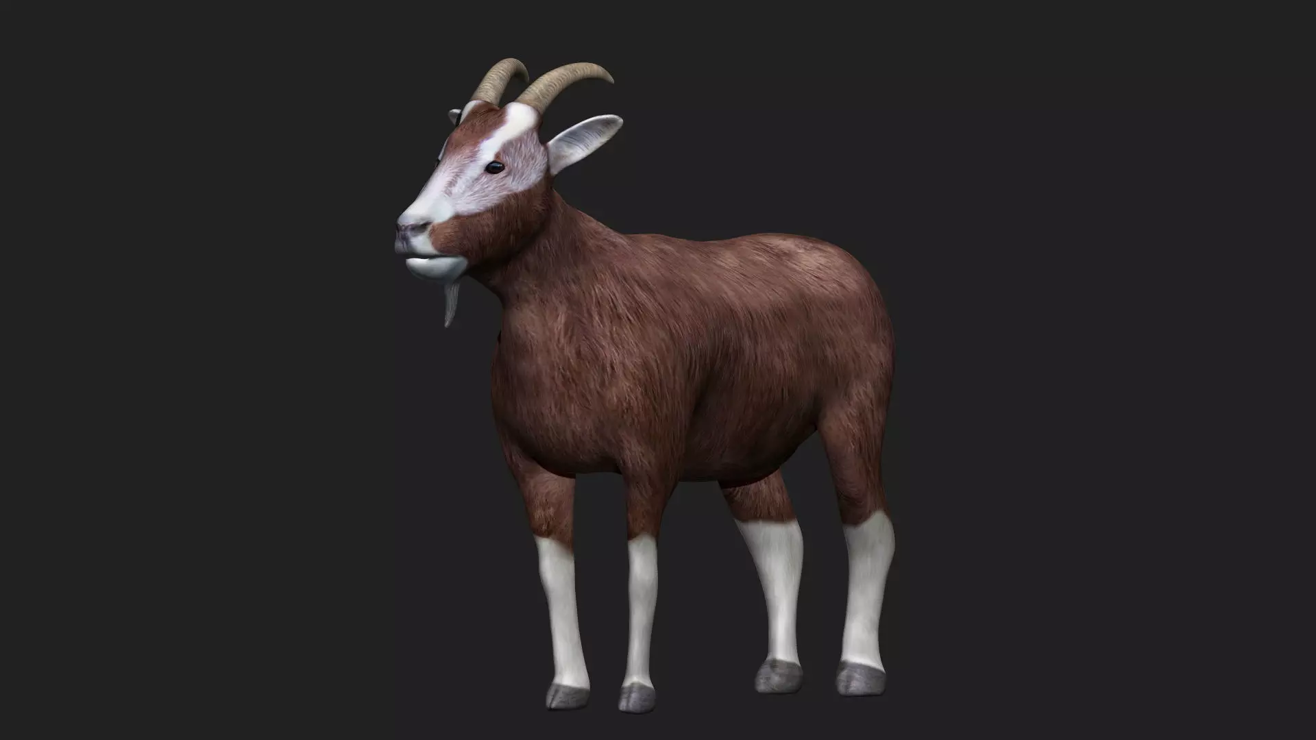 Goat fully rigged low polygon Low-poly 3D model_0