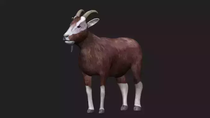 Goat fully rigged low polygon Low-poly 3D model