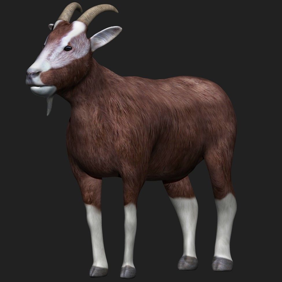Goat fully rigged low polygon Low-poly 3D model_1