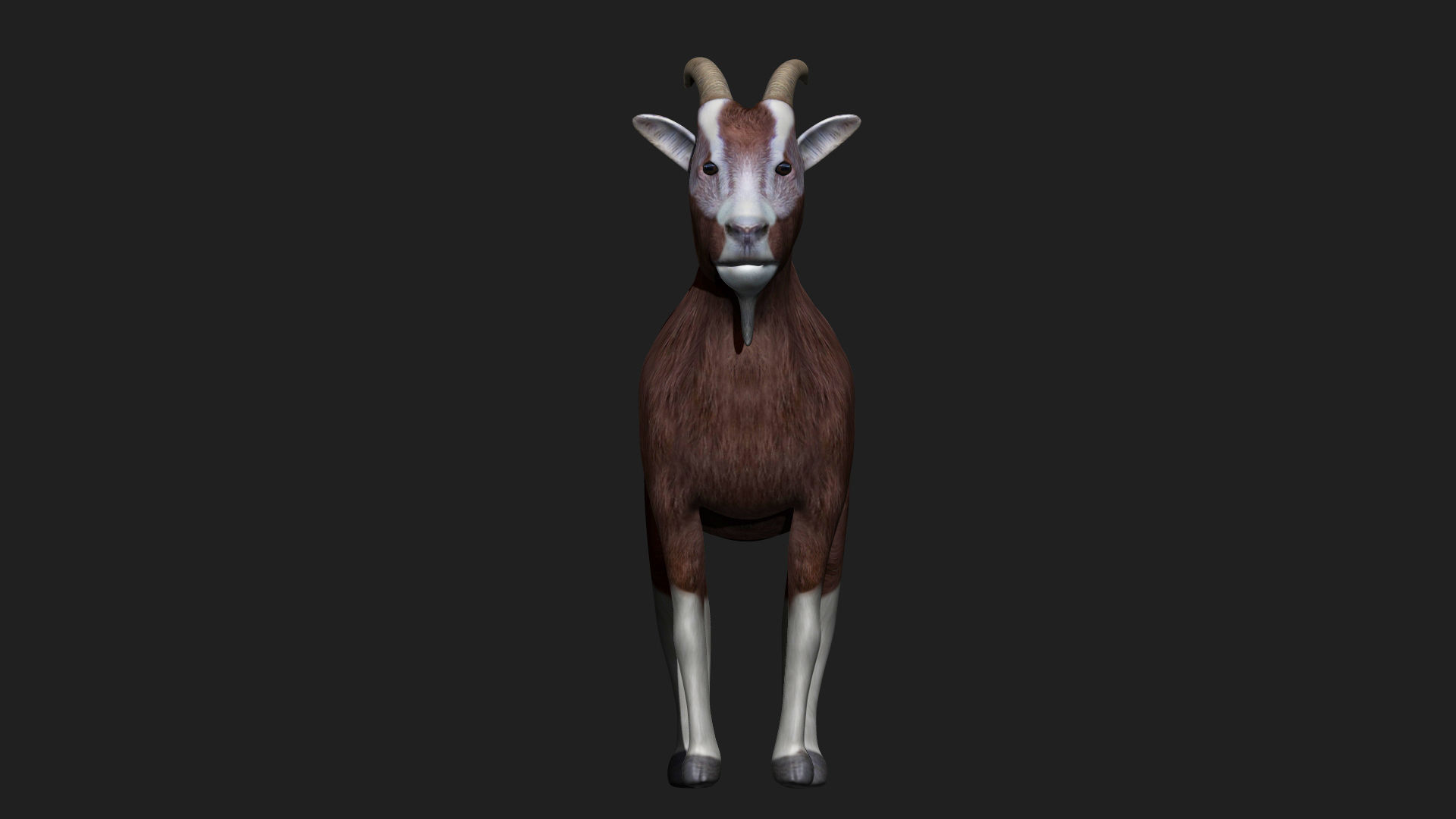 Goat fully rigged low polygon Low-poly 3D model_3