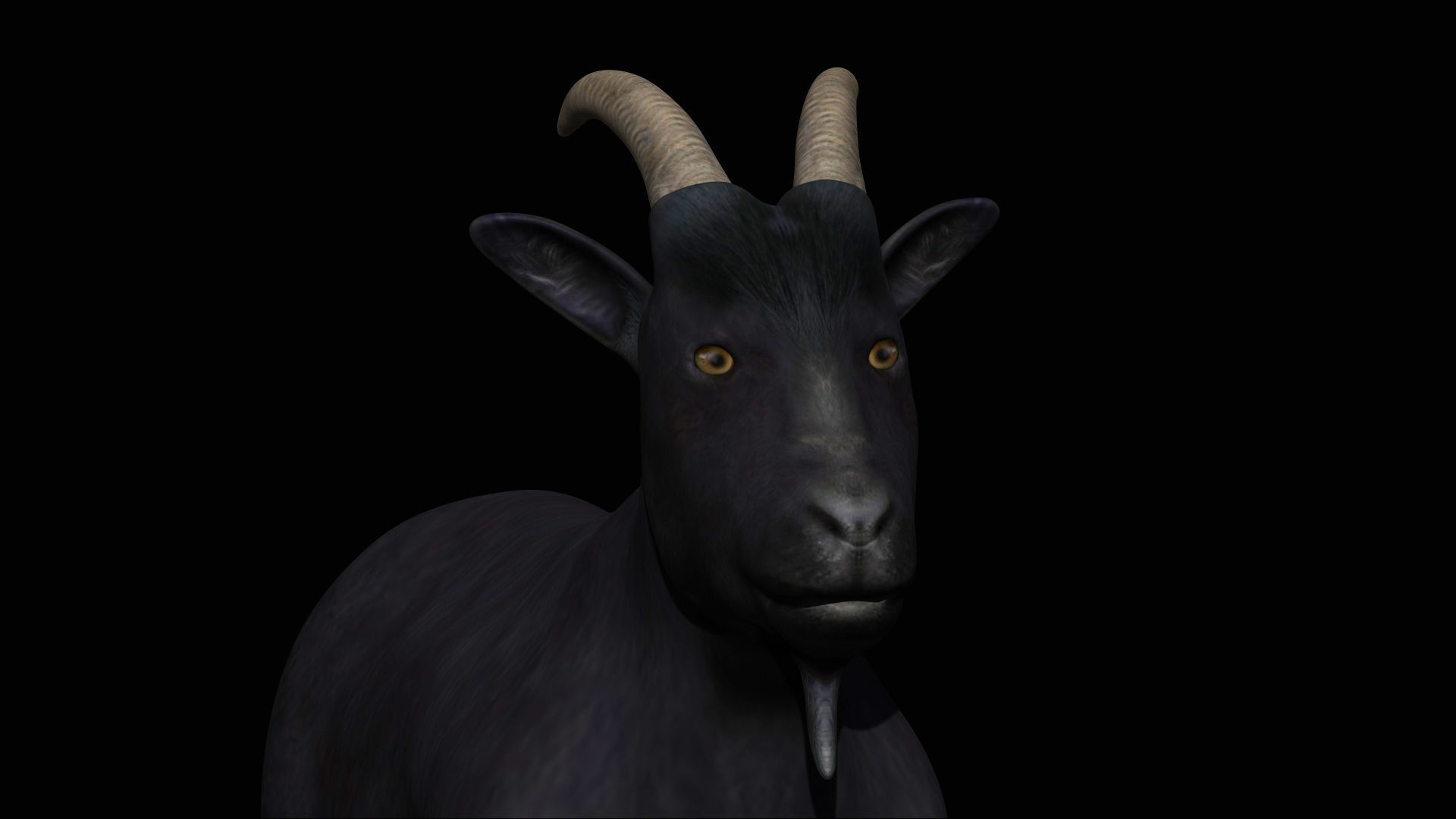 Black Goat Low-poly 3D model_2