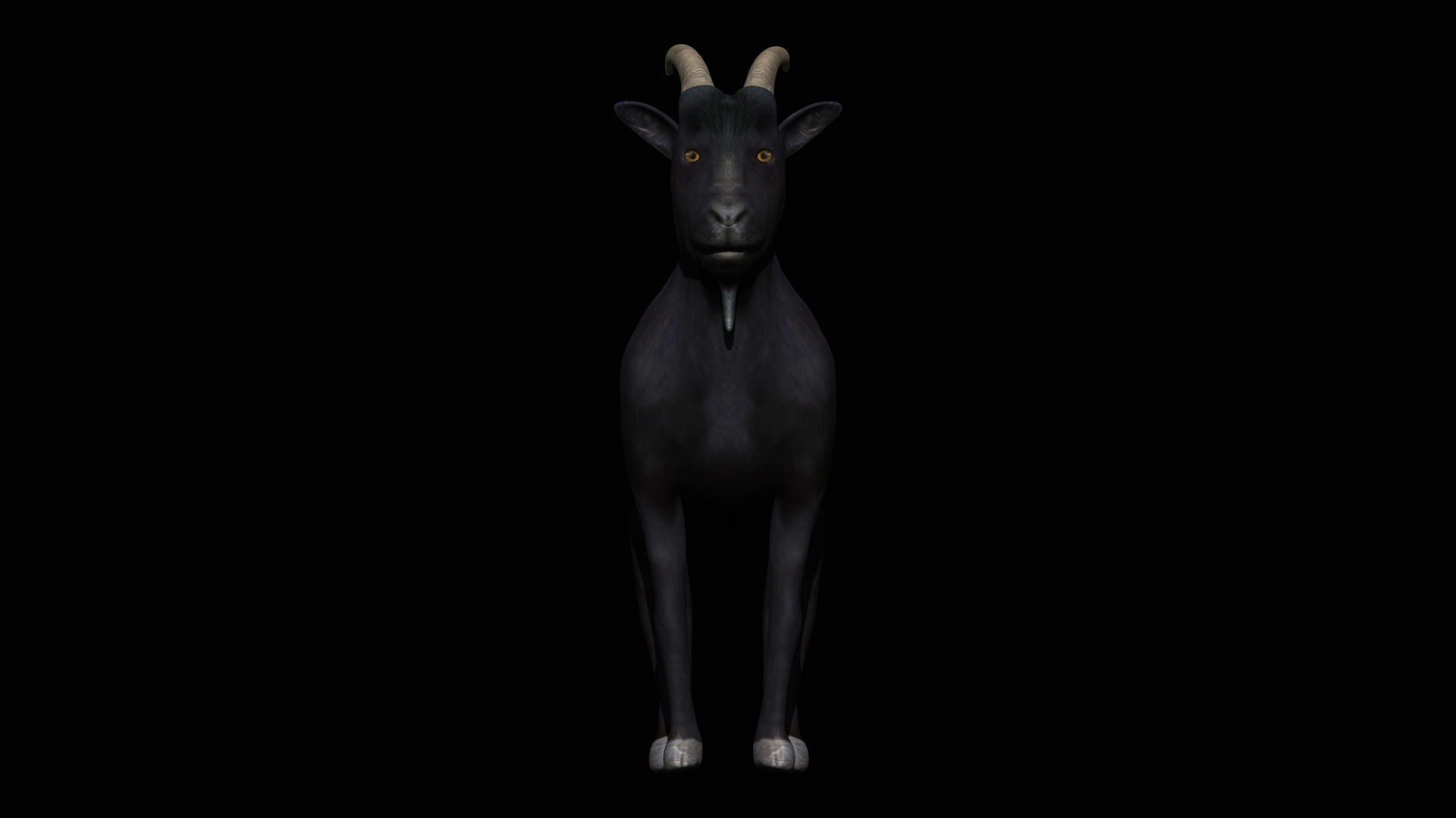 Black Goat Low-poly 3D model_3