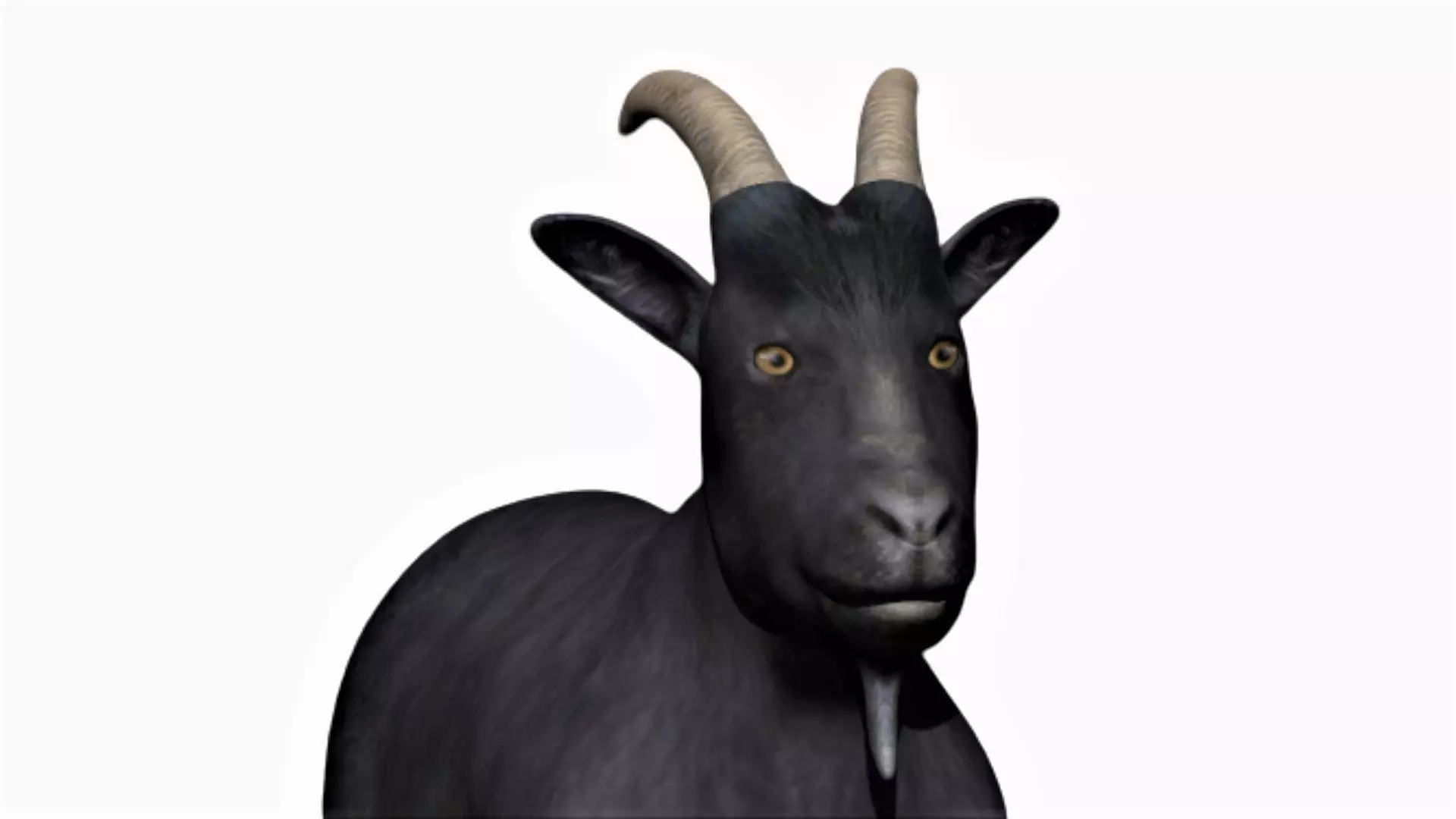 Black Goat Low-poly 3D model_0