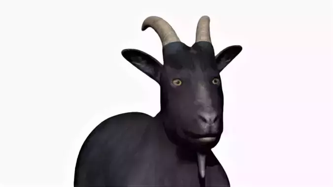 Black Goat Low-poly 3D model