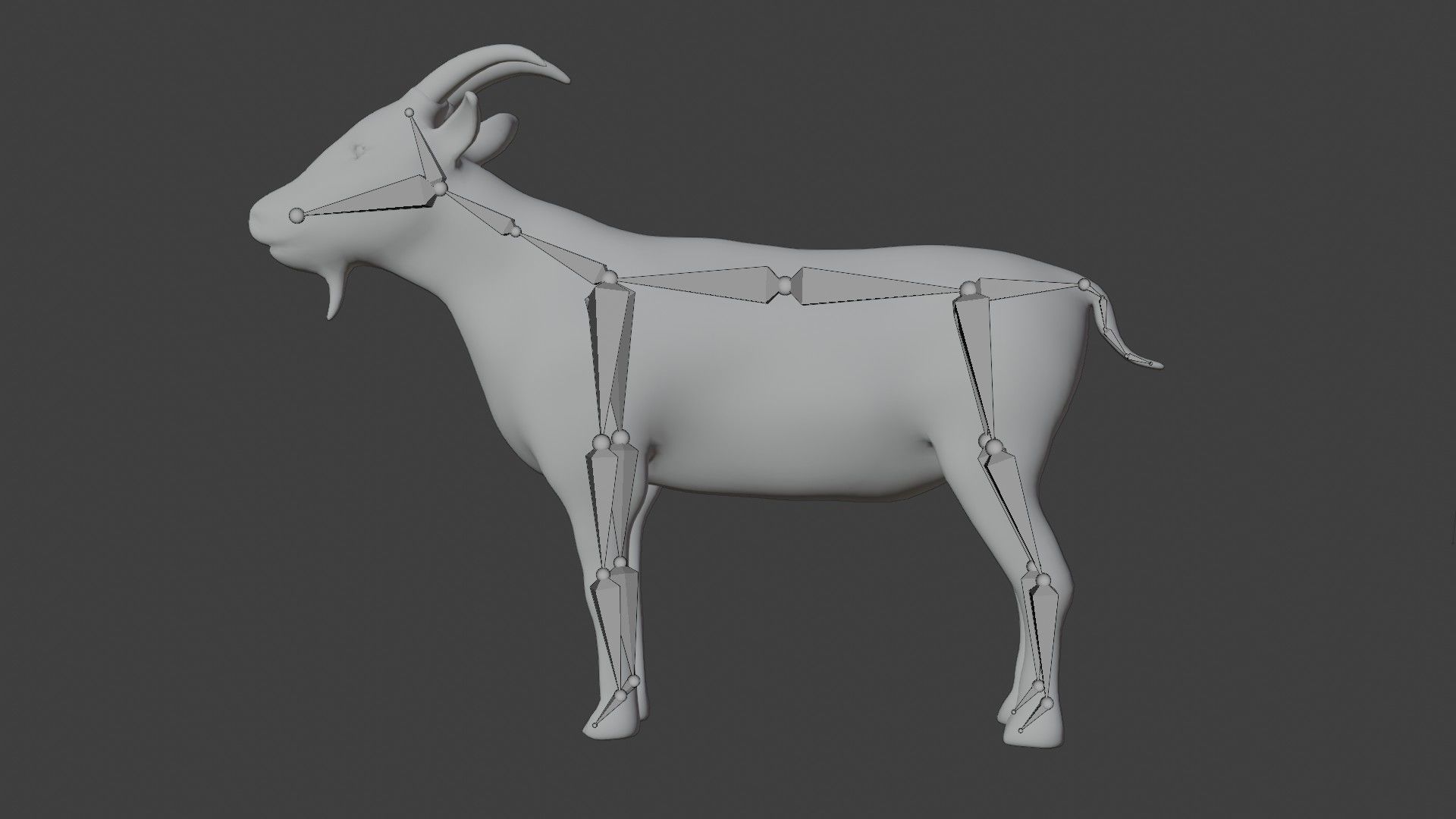 White Goat Low-poly 3D model_8