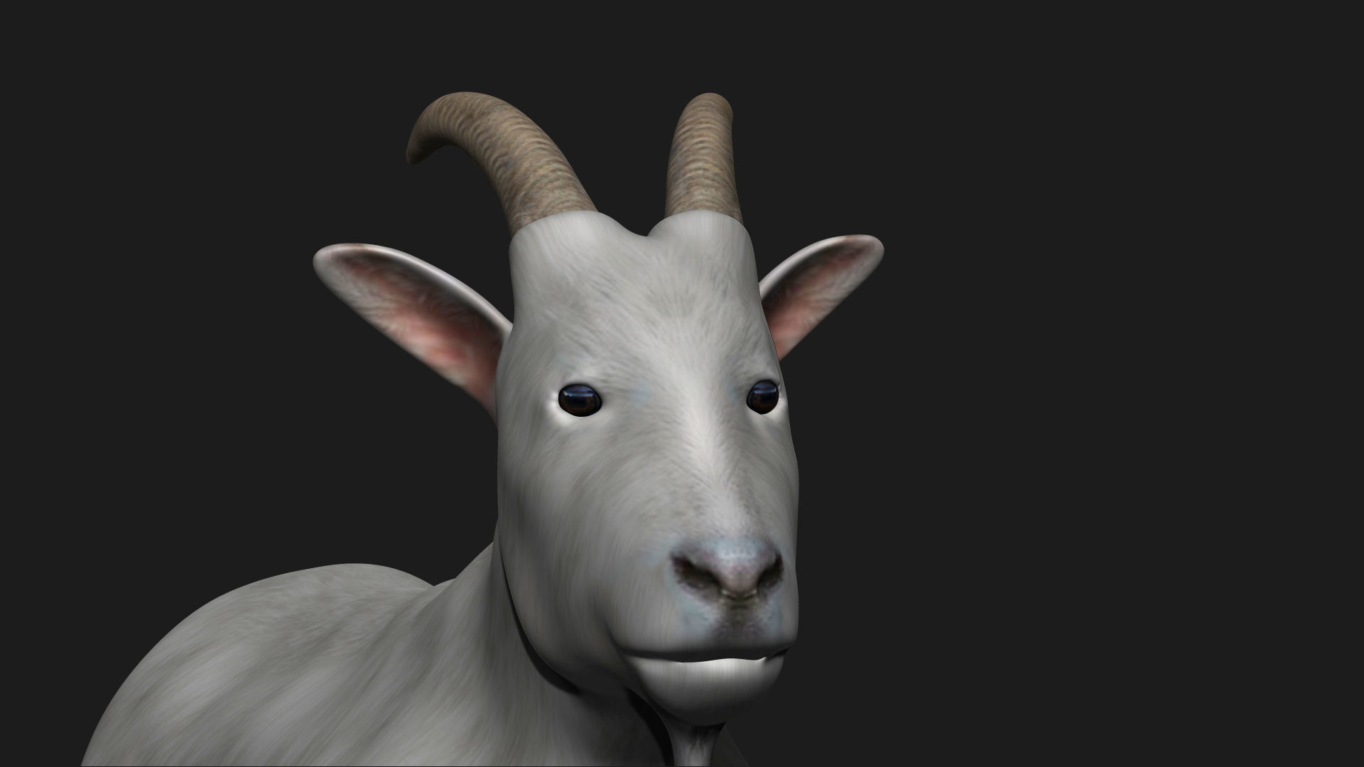White Goat Low-poly 3D model_3