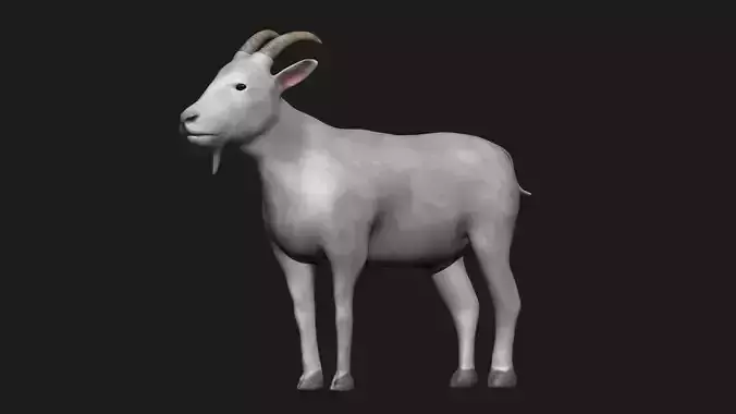 White Goat Low-poly 3D model