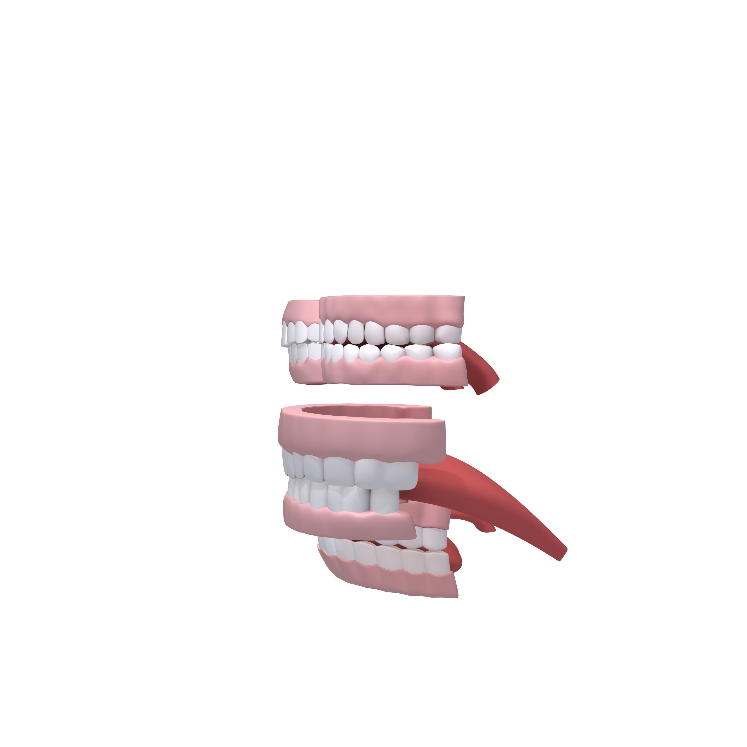 Human Mouth 03 Teeth Cartoon 3D model_3