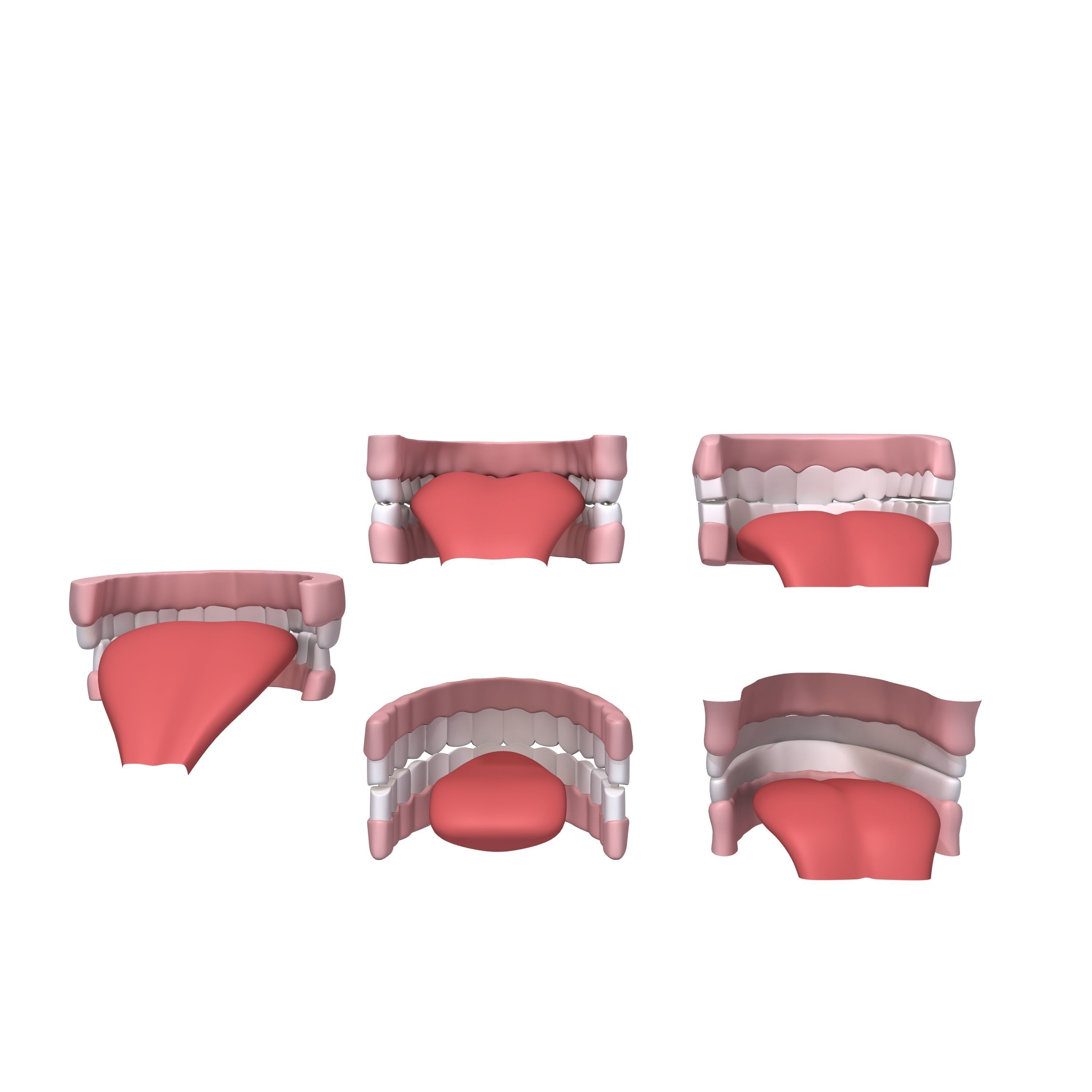 Human Mouth 03 Teeth Cartoon 3D model_2