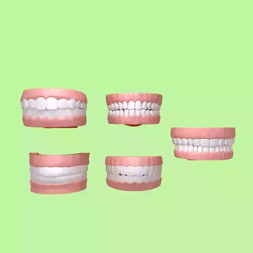 Human Mouth 03 Teeth Cartoon 3D model