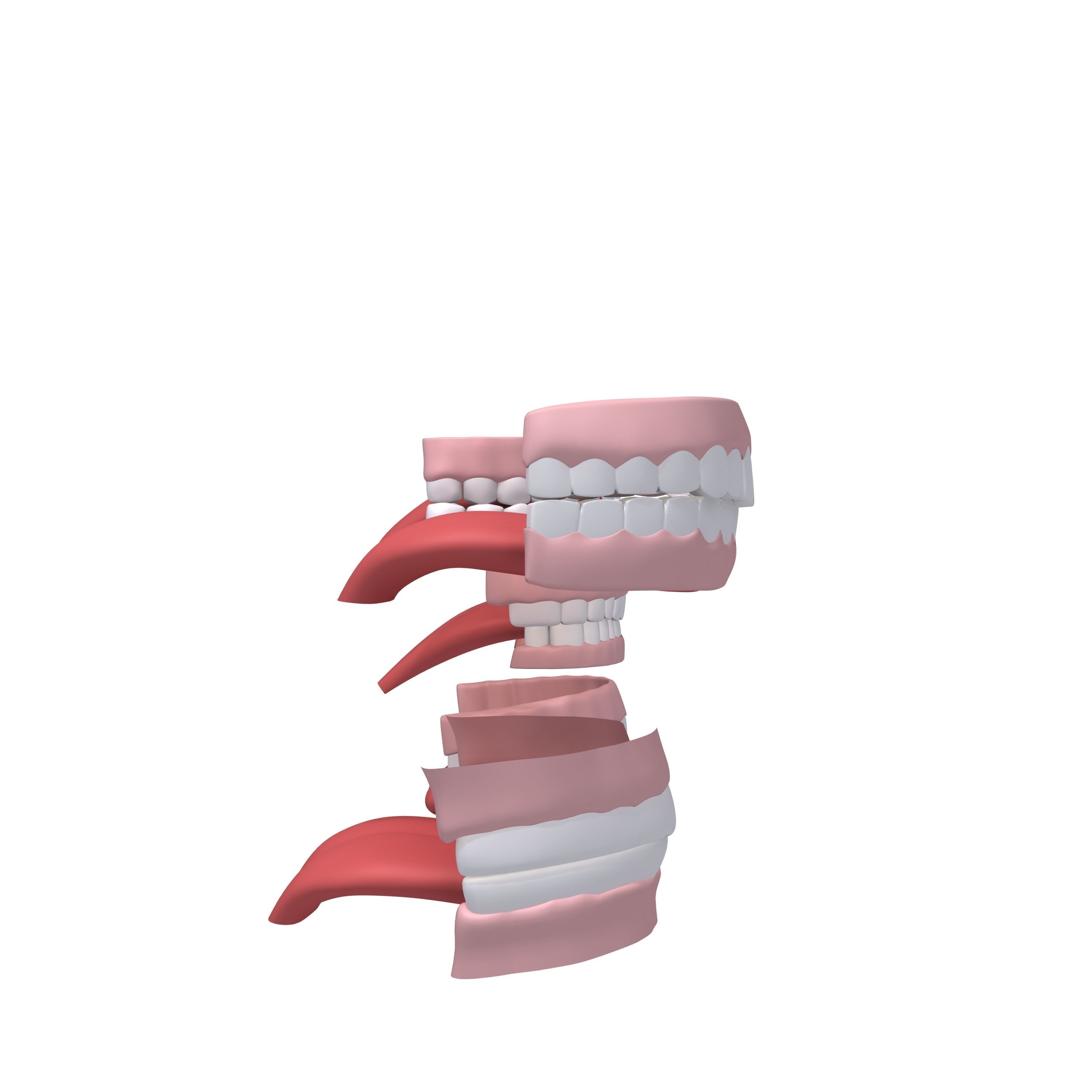 Human Mouth 03 Teeth Cartoon 3D model_1