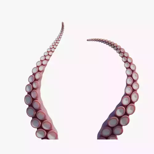 Tentacle octopus tentacles Low-poly 3D model