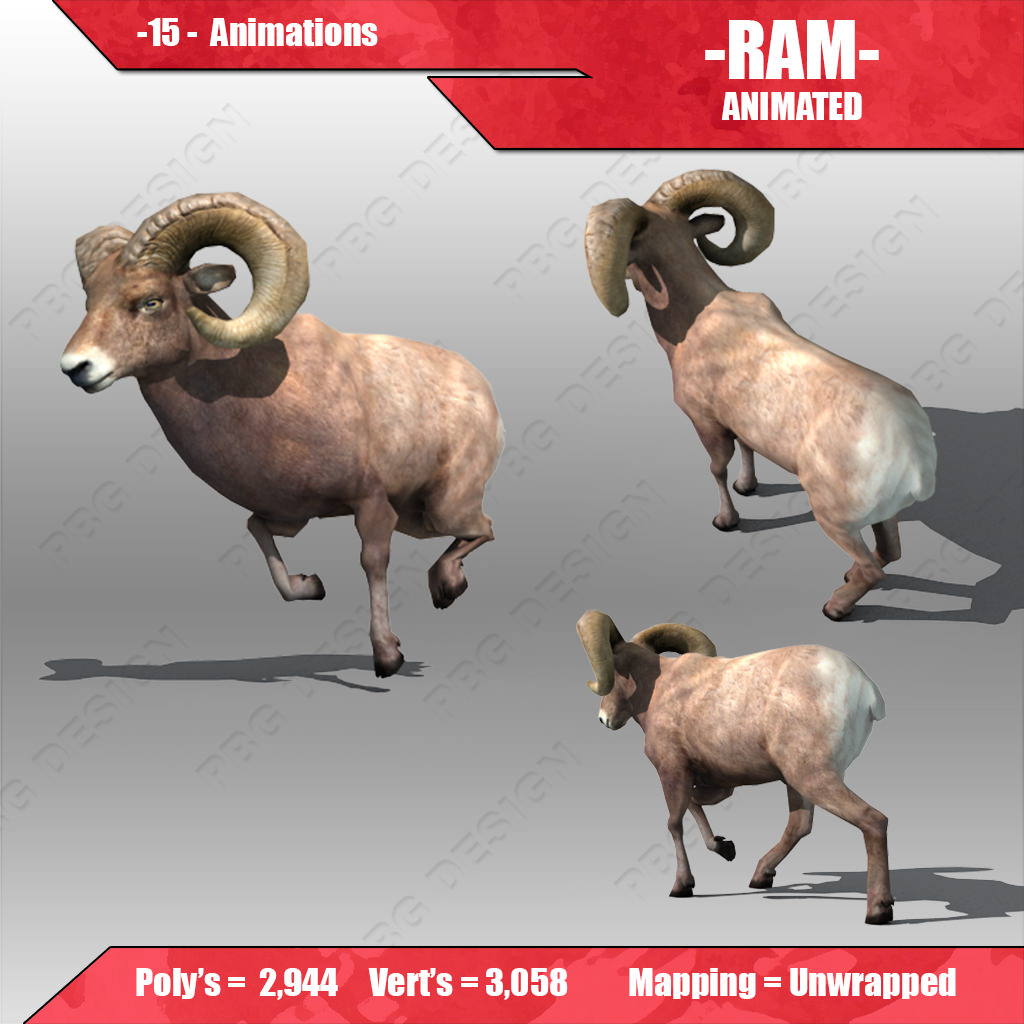 Ram Animated 3D model_1