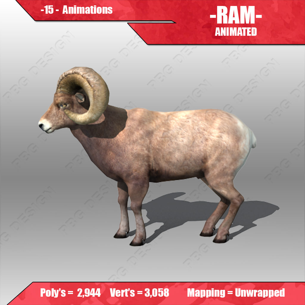Ram Animated 3D model_2