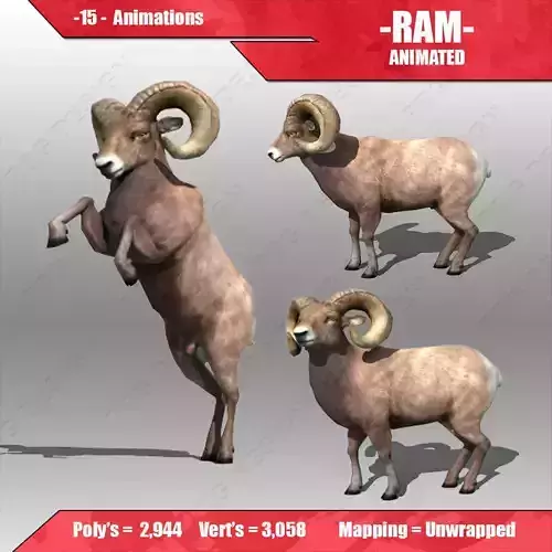 Ram Animated 3D model