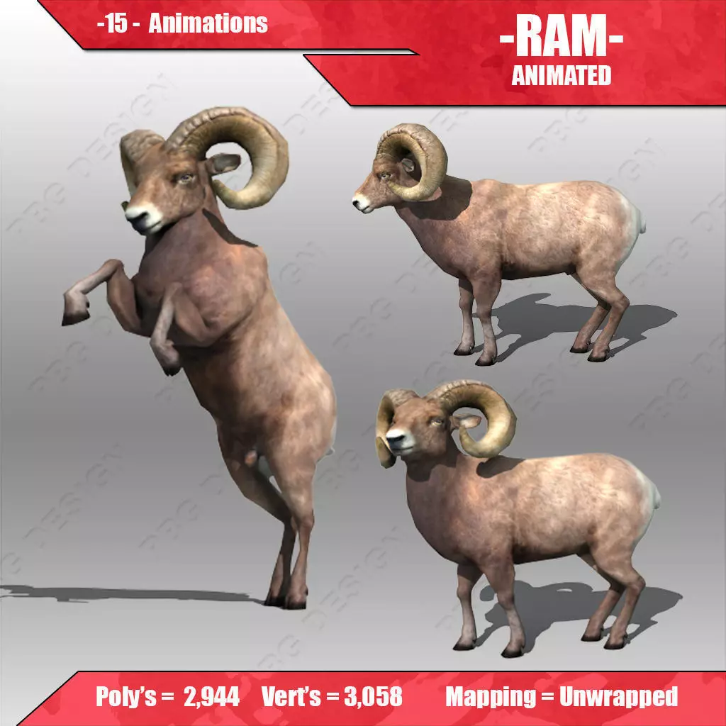 Ram Animated 3D model_0