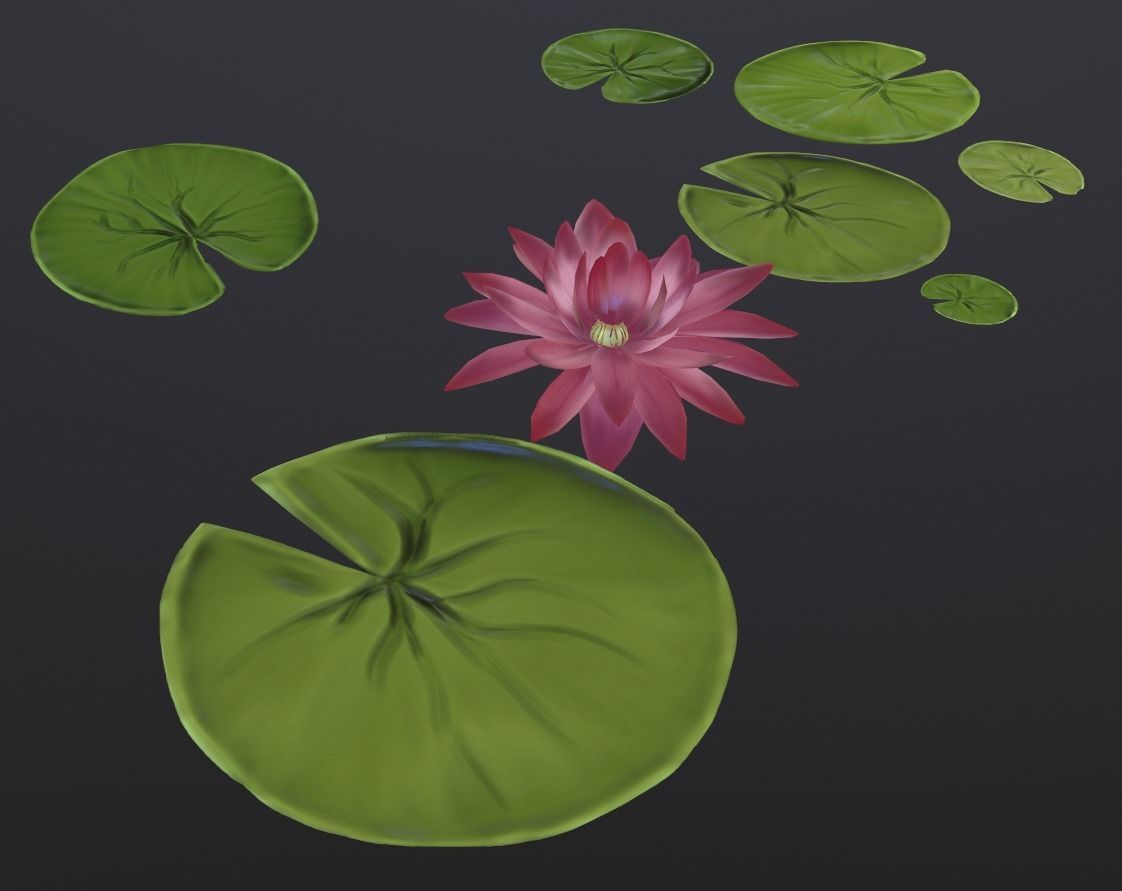 Swamp game-ready stylized set Low-poly 3D model_3