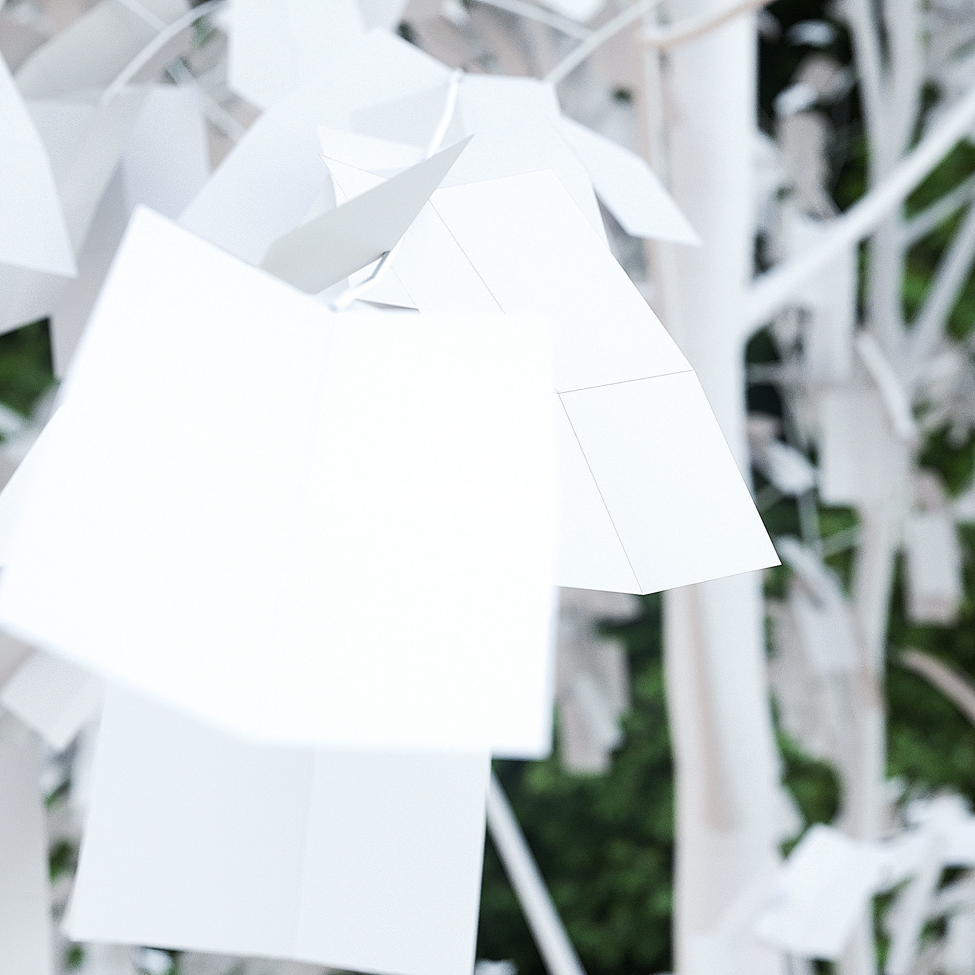 Betula Pendula 12 And A Half m 005 3D model_3