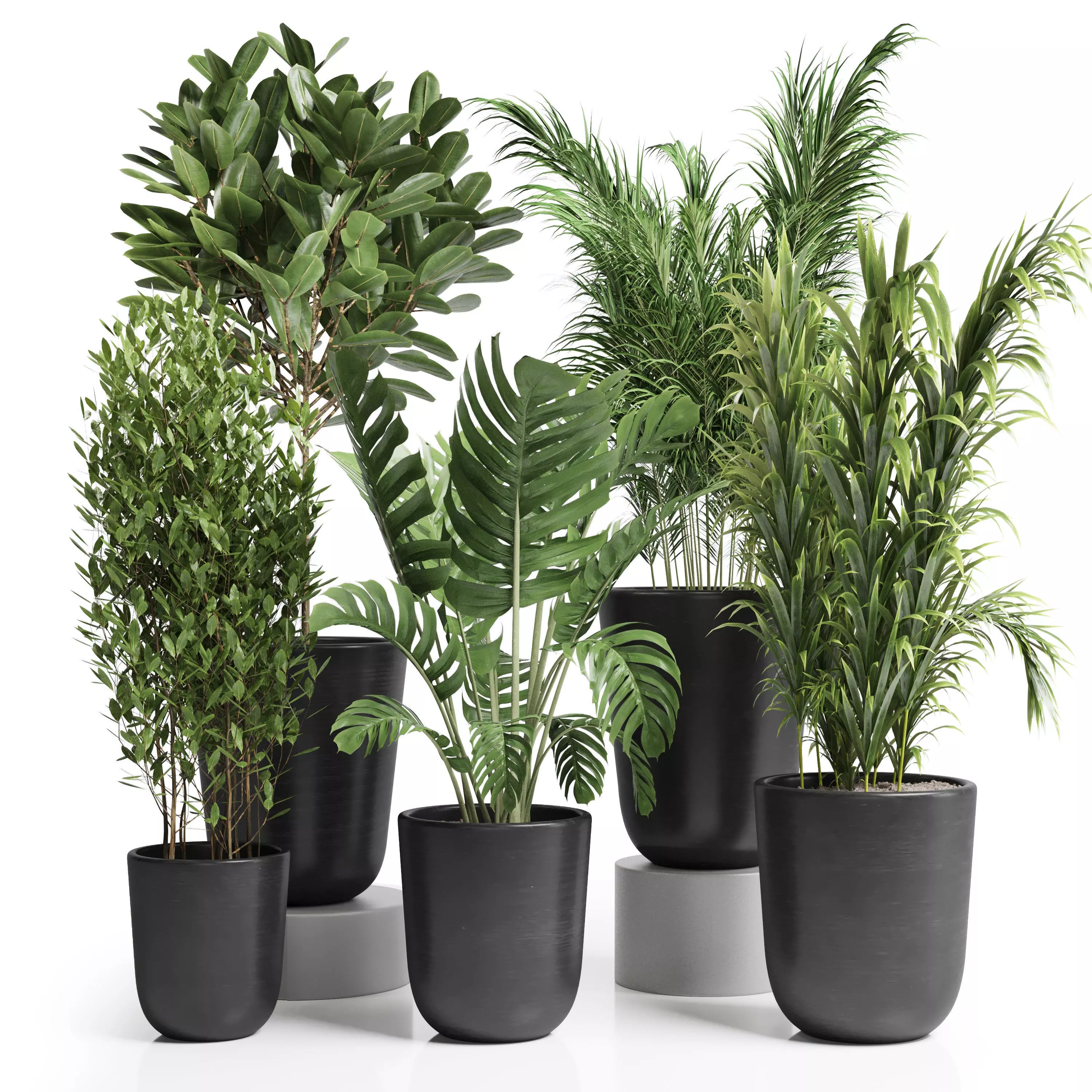 Indoor plant 24 Low-poly 3D model