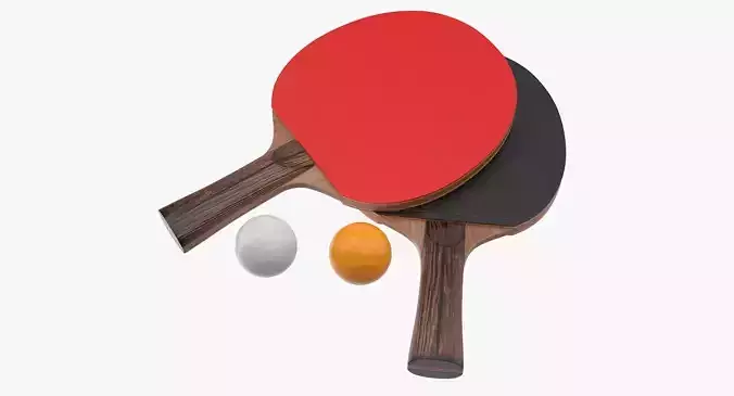 Ping Pong Paddle
