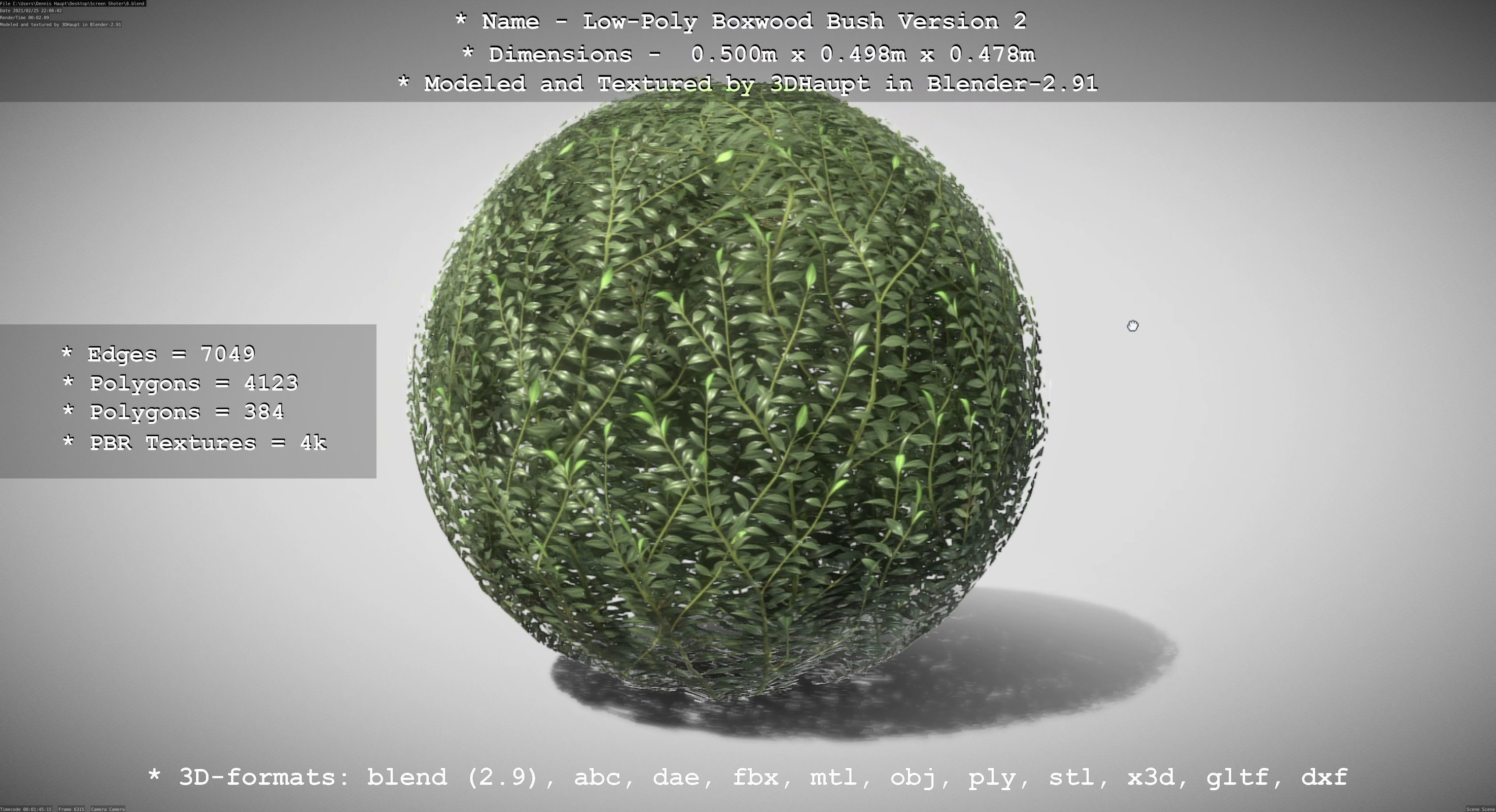 Low-Poly Boxwood Bush Version 2 Low-poly 3D model_58
