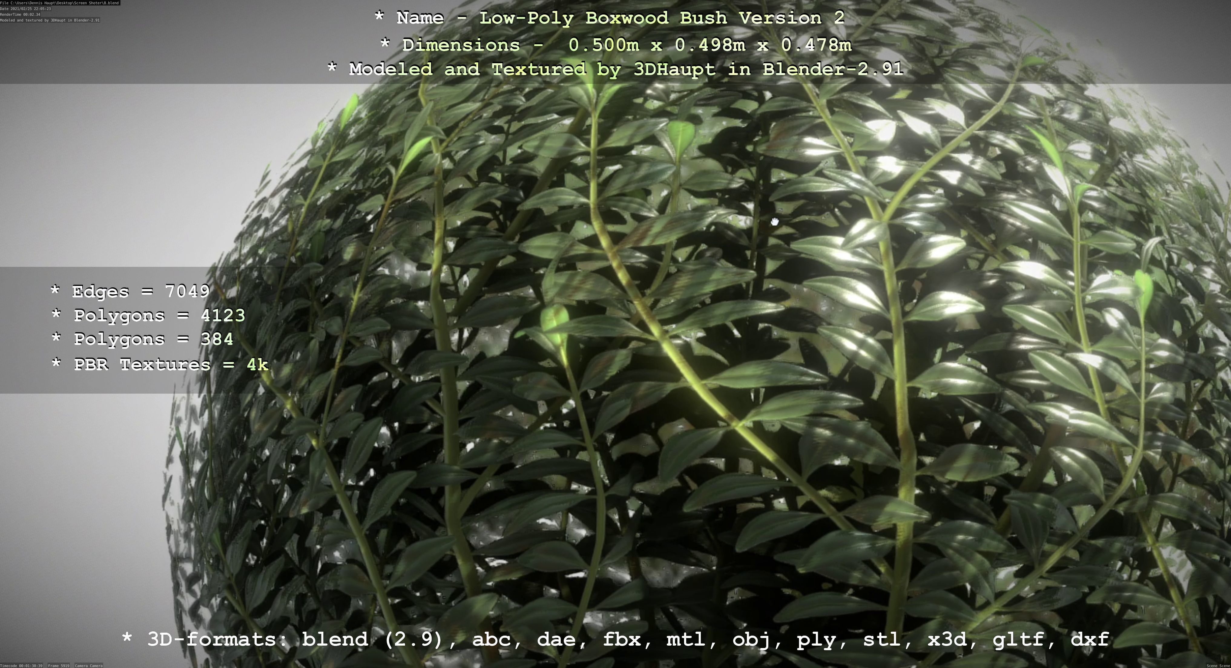 Low-Poly Boxwood Bush Version 2 Low-poly 3D model_49