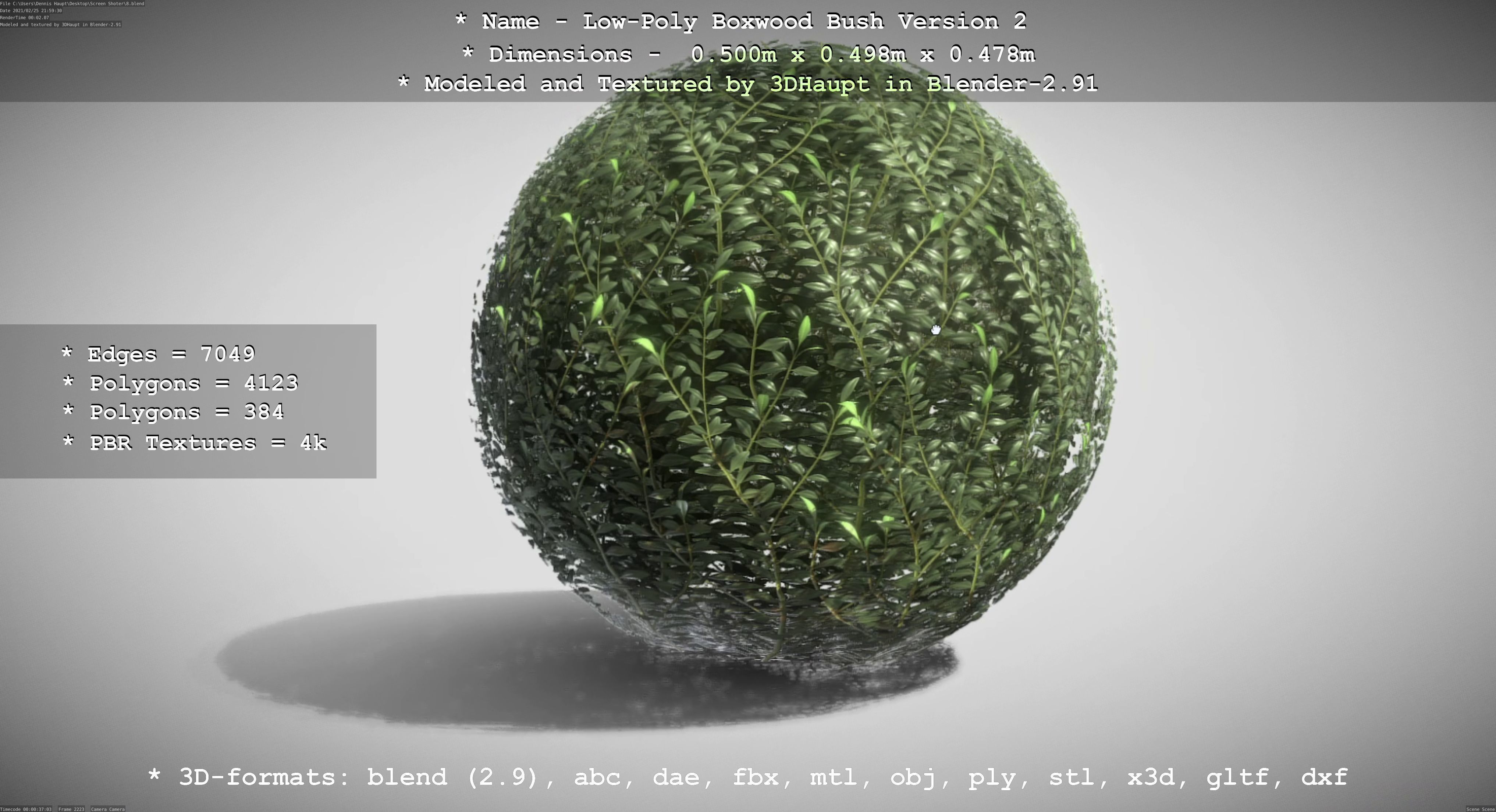 Low-Poly Boxwood Bush Version 2 Low-poly 3D model_113