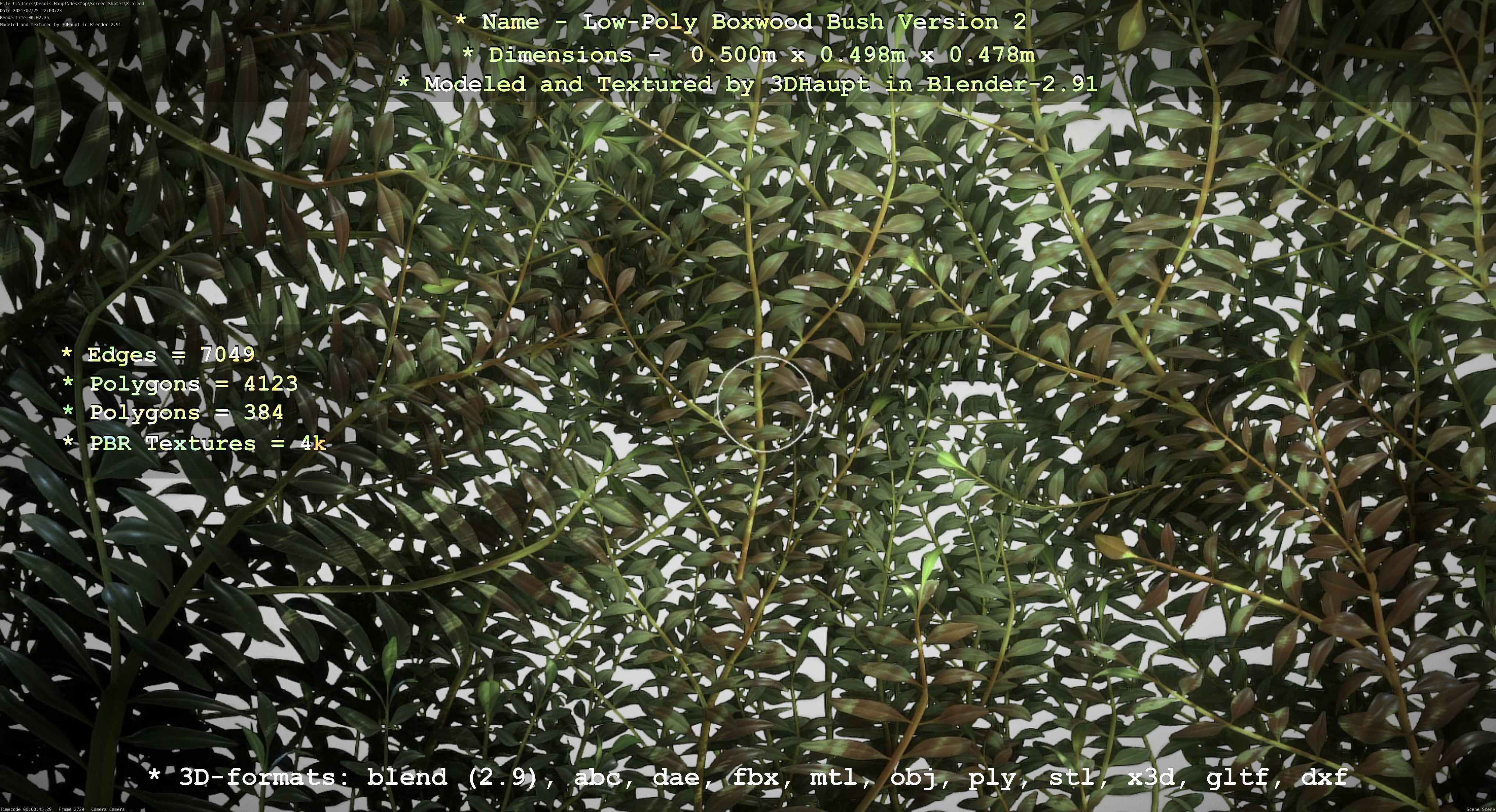 Low-Poly Boxwood Bush Version 2 Low-poly 3D model_123