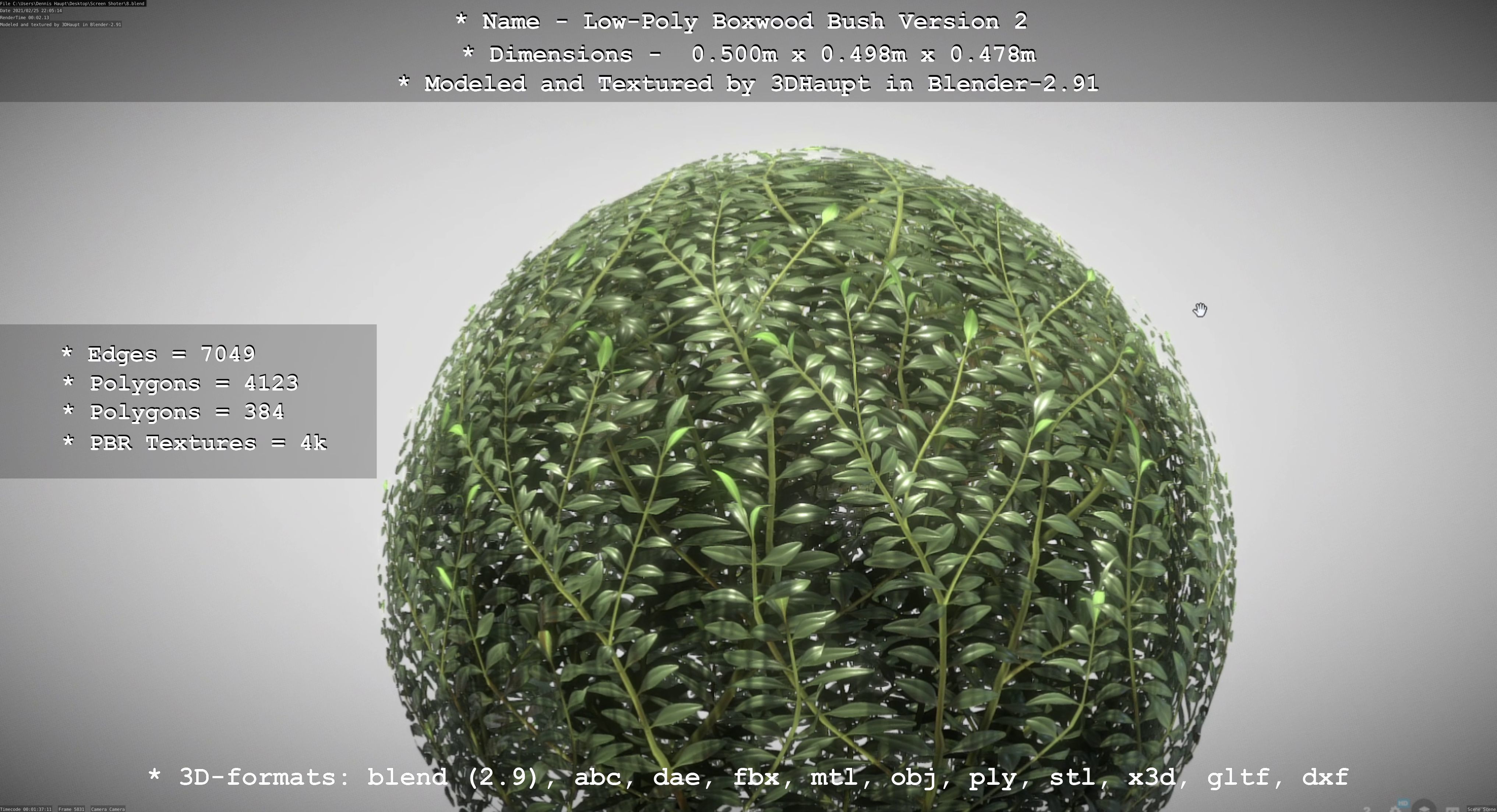 Low-Poly Boxwood Bush Version 2 Low-poly 3D model_46