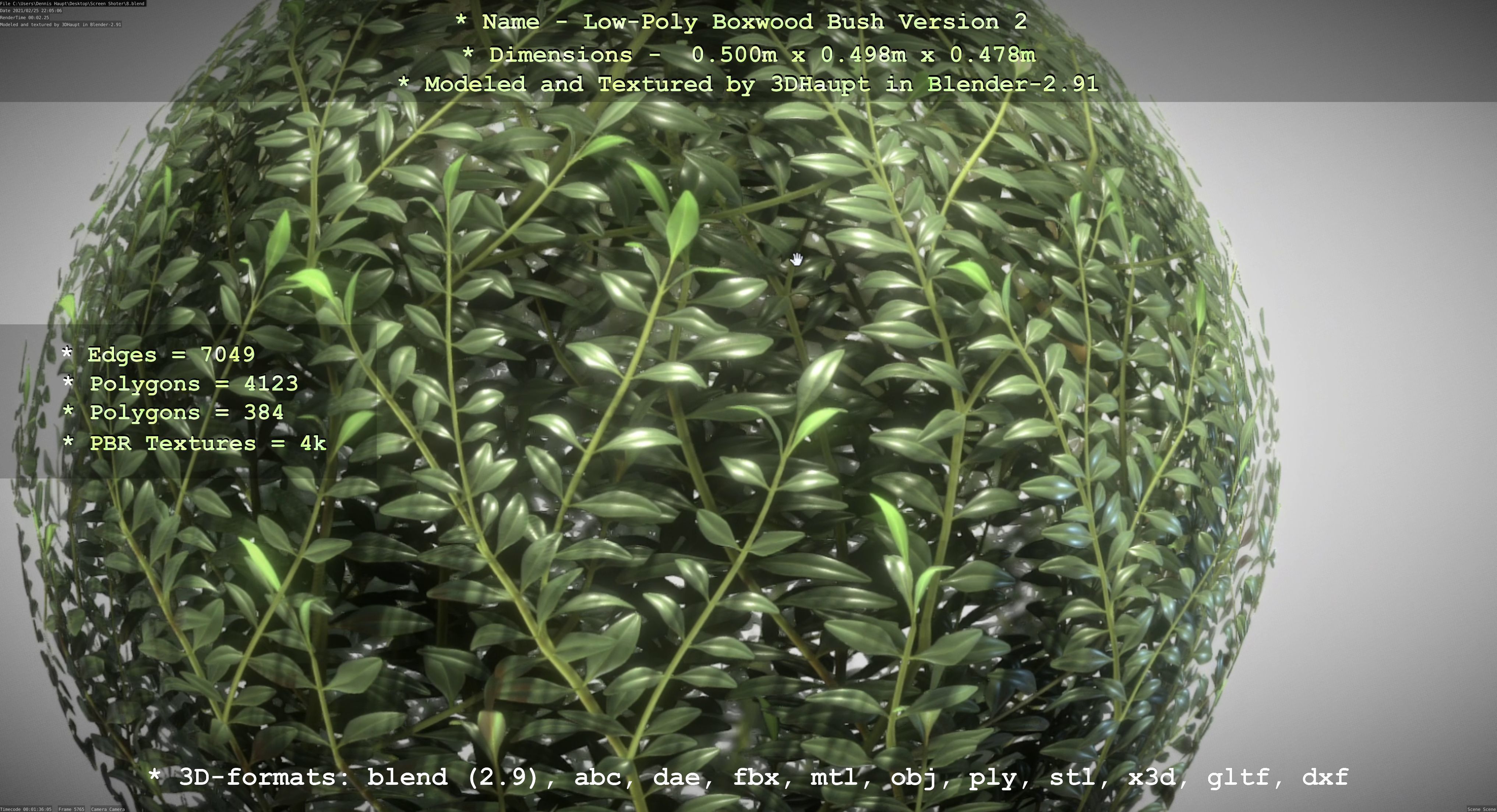 Low-Poly Boxwood Bush Version 2 Low-poly 3D model_44